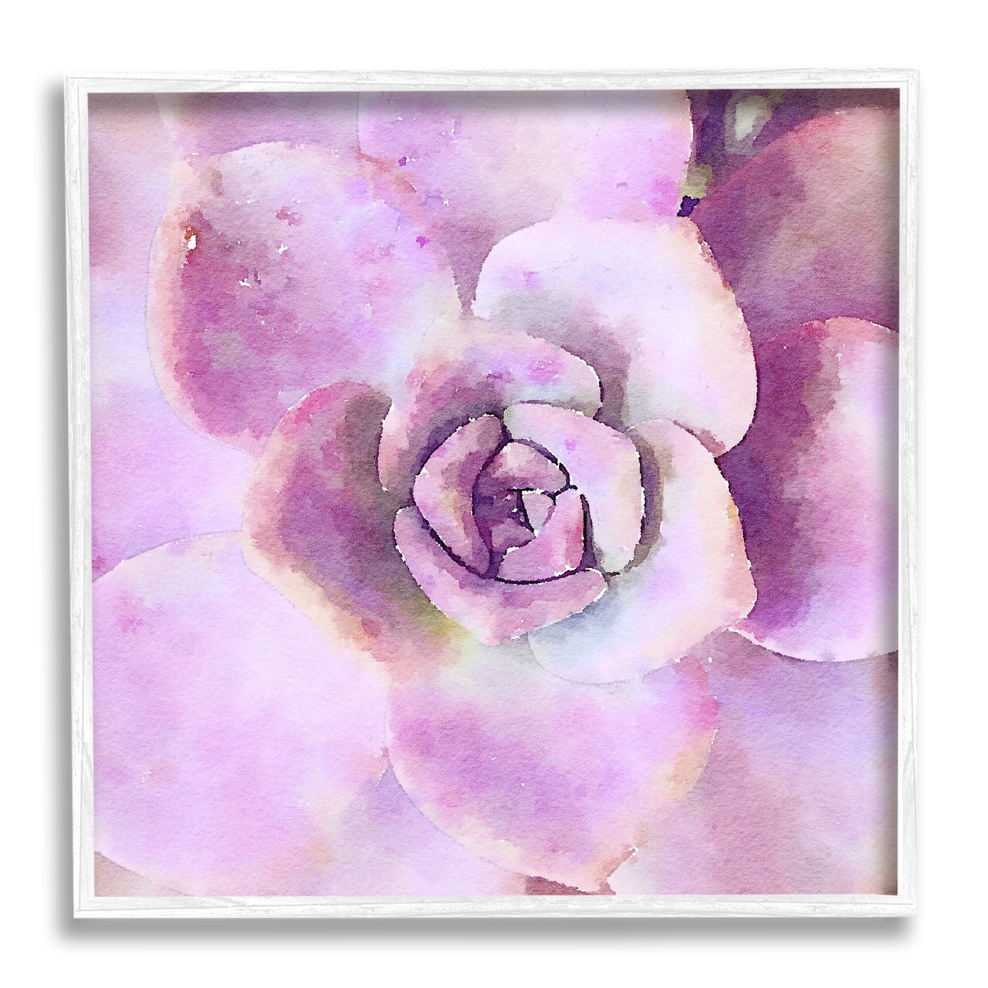 Stupell Industries Pink Succulent Botanical Leaves Botanical & Floral Painting White Framed Art Print Wall Art
