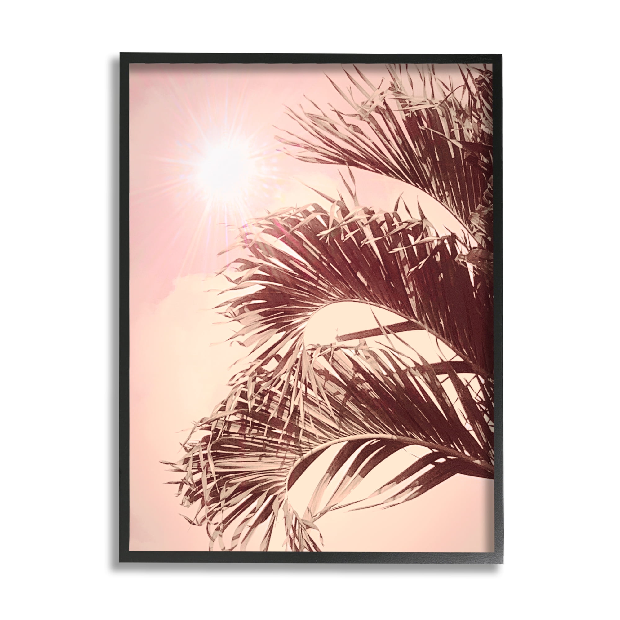 Stupell Industries Pink Sunlit Palm Fronds Botanical & Floral Photography Black Framed Art Print Wall Art, 11 x 14