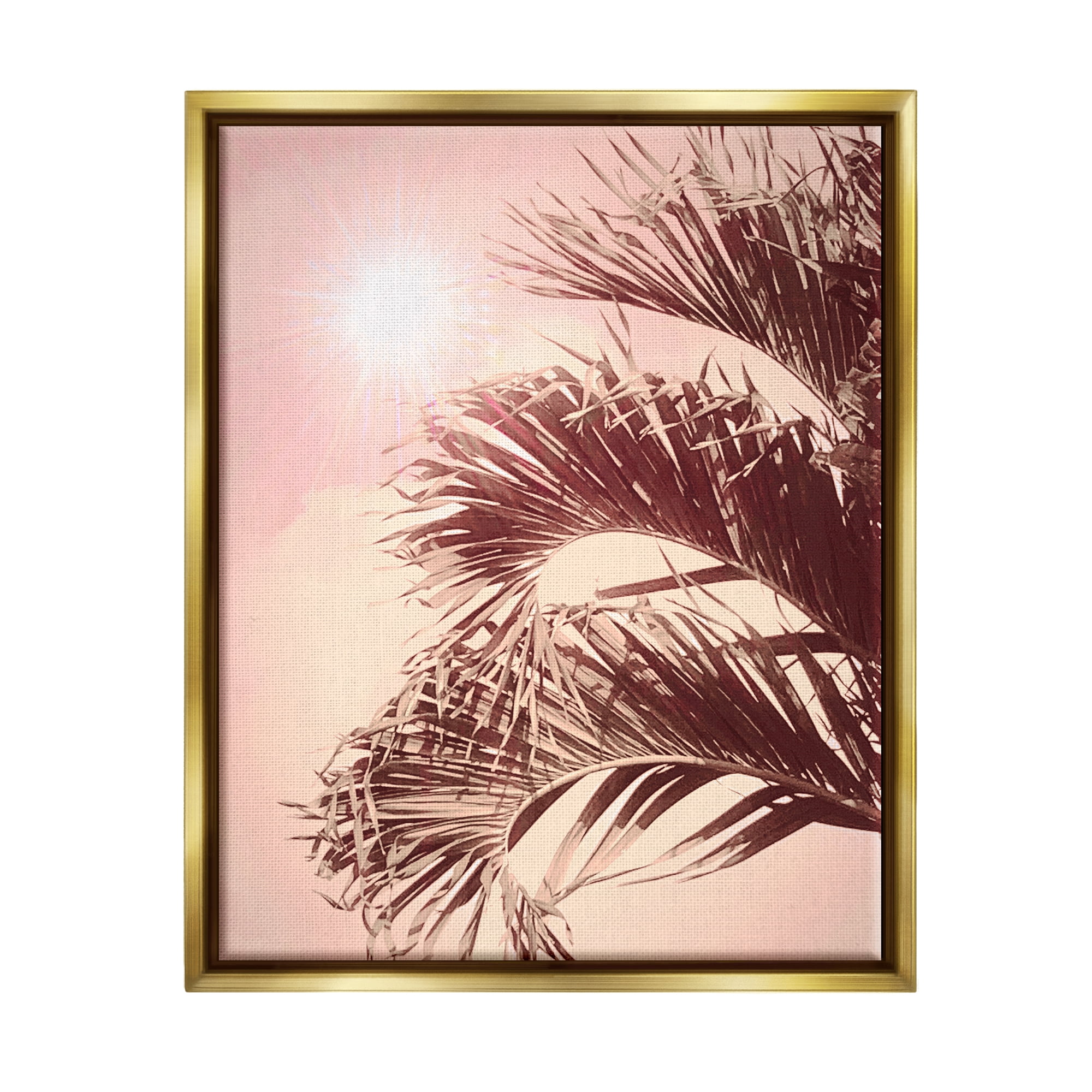 Stupell Industries Pink Sunlit Palm Fronds Botanical & Floral Photography Gold Floater Framed Art Print Wall Art, 25 x 31
