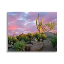 Stupell Industries Pink Sunrise Arid Cactus Plants Landscape Photography Gallery Wrapped Canvas Print Wall Art