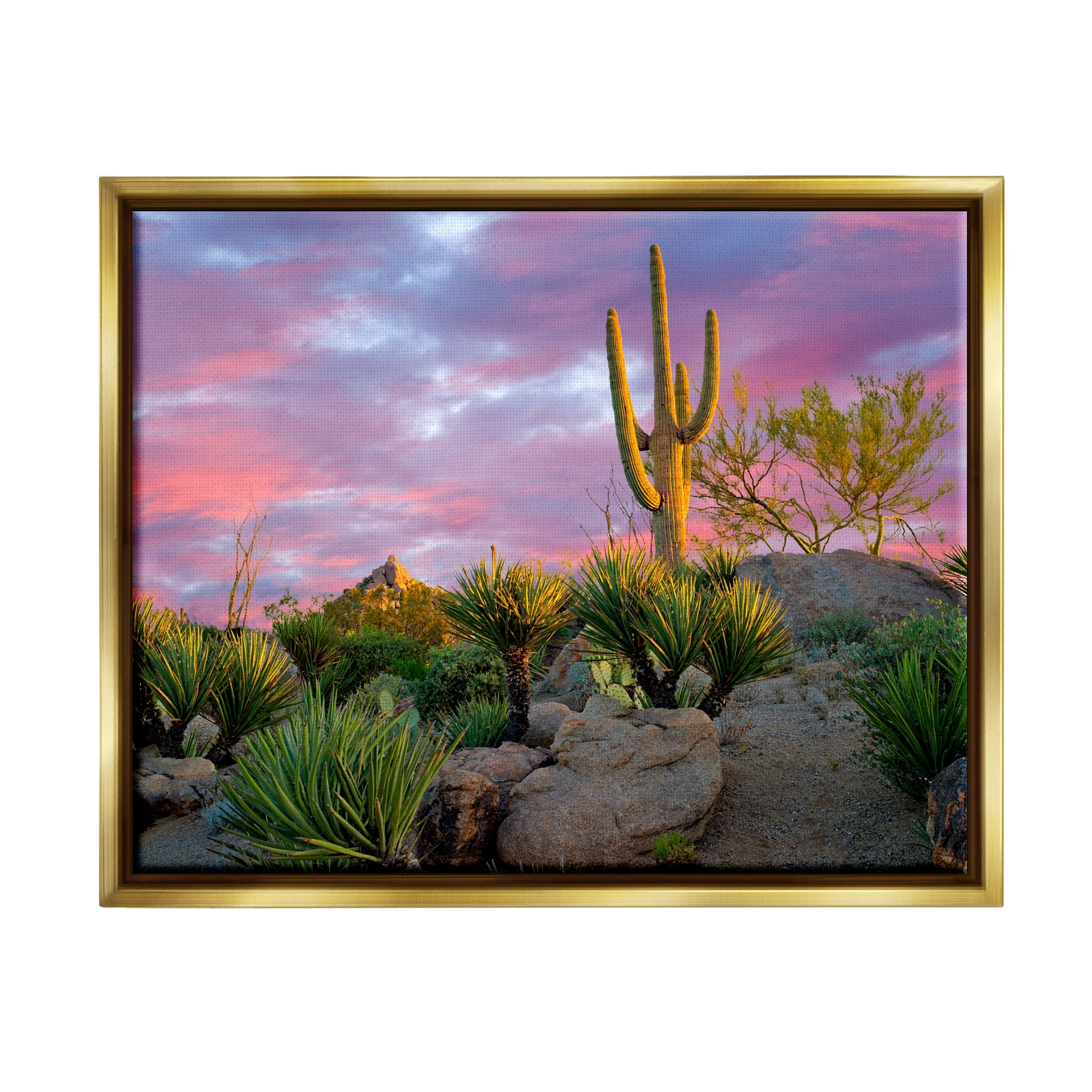 Stupell Industries Pink Sunrise Arid Cactus Plants Landscape Photography Gold Floater Framed Art Print Wall Art