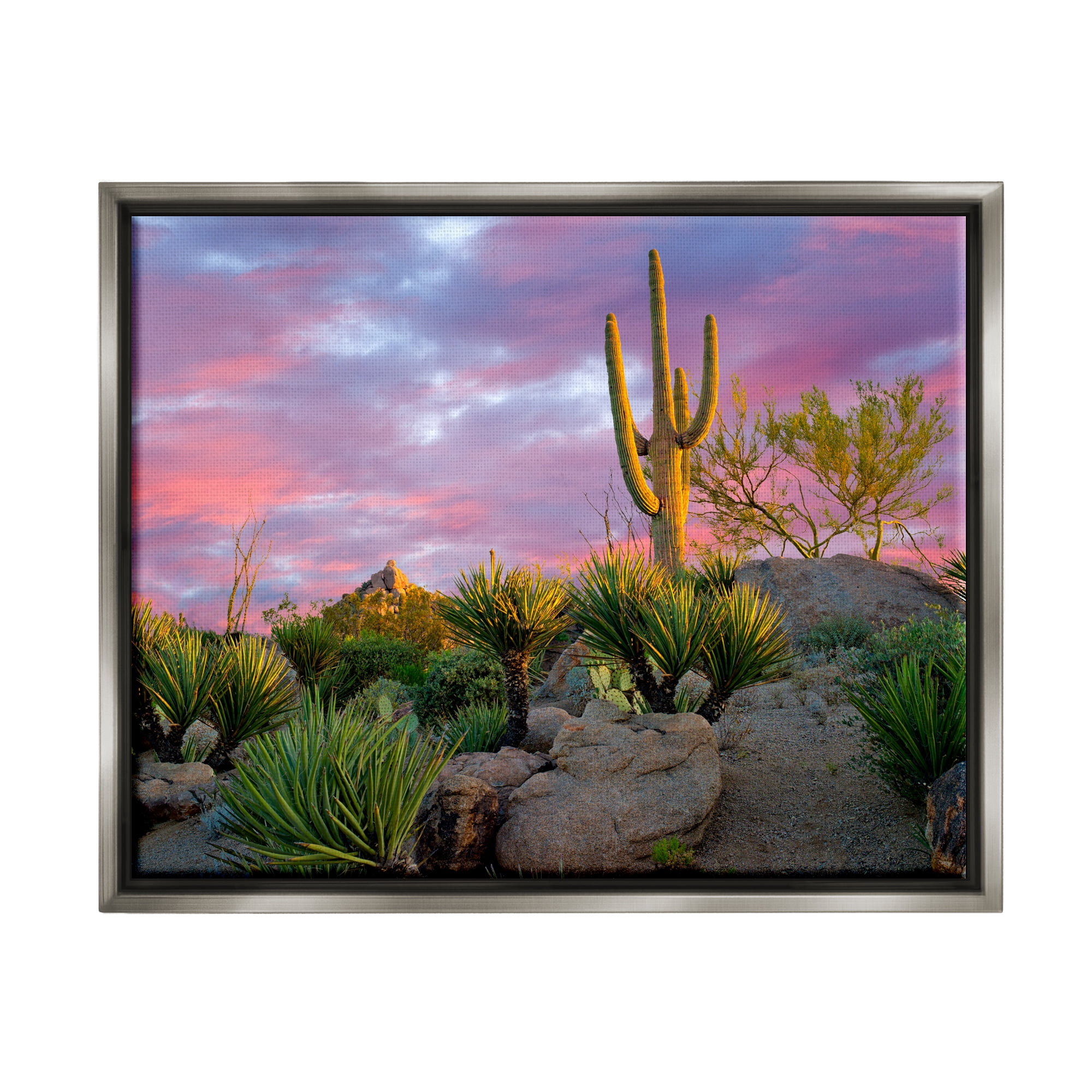Stupell Industries Pink Sunrise Arid Cactus Plants Landscape Photography Gray Floater Framed Art Print Wall Art
