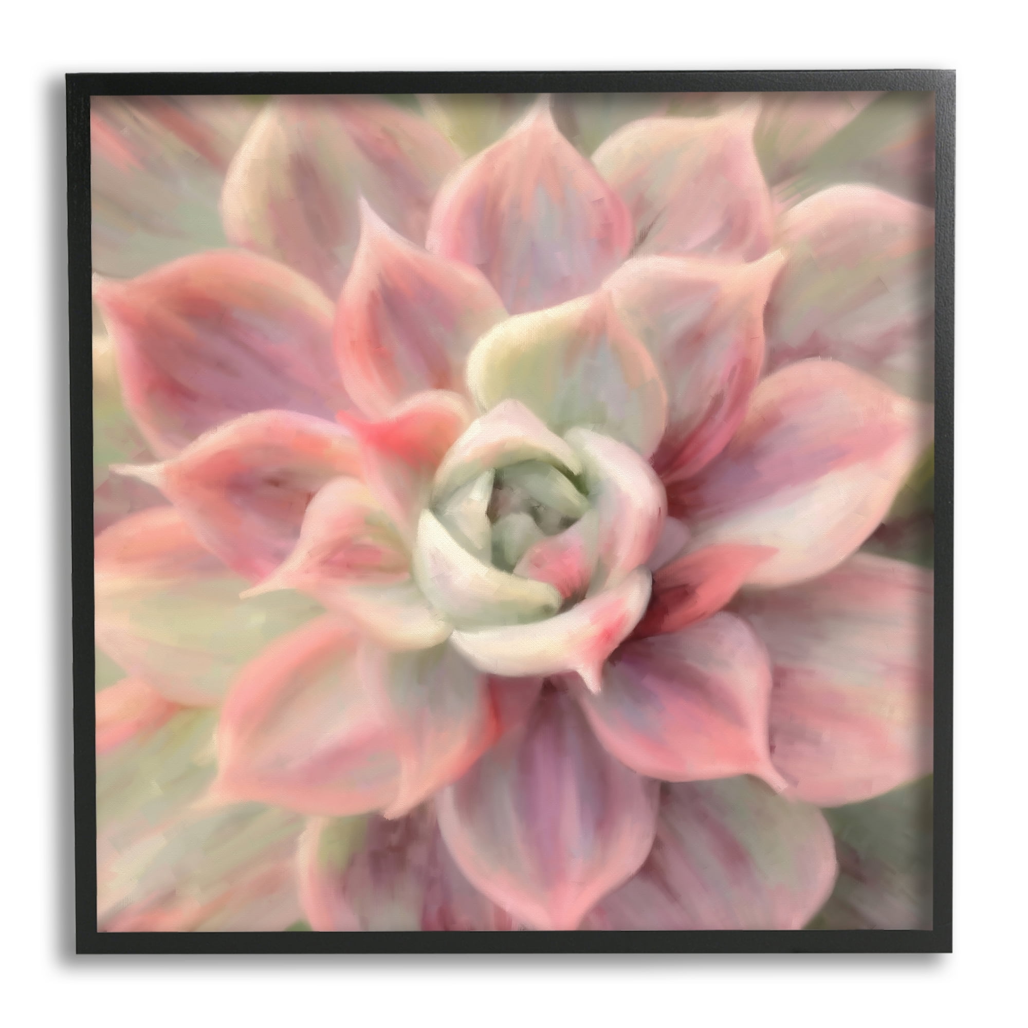 Stupell Industries Pink Symmetrical Succulent Botanical & Floral Painting Black Framed Art Print Wall Art, 24 x 24