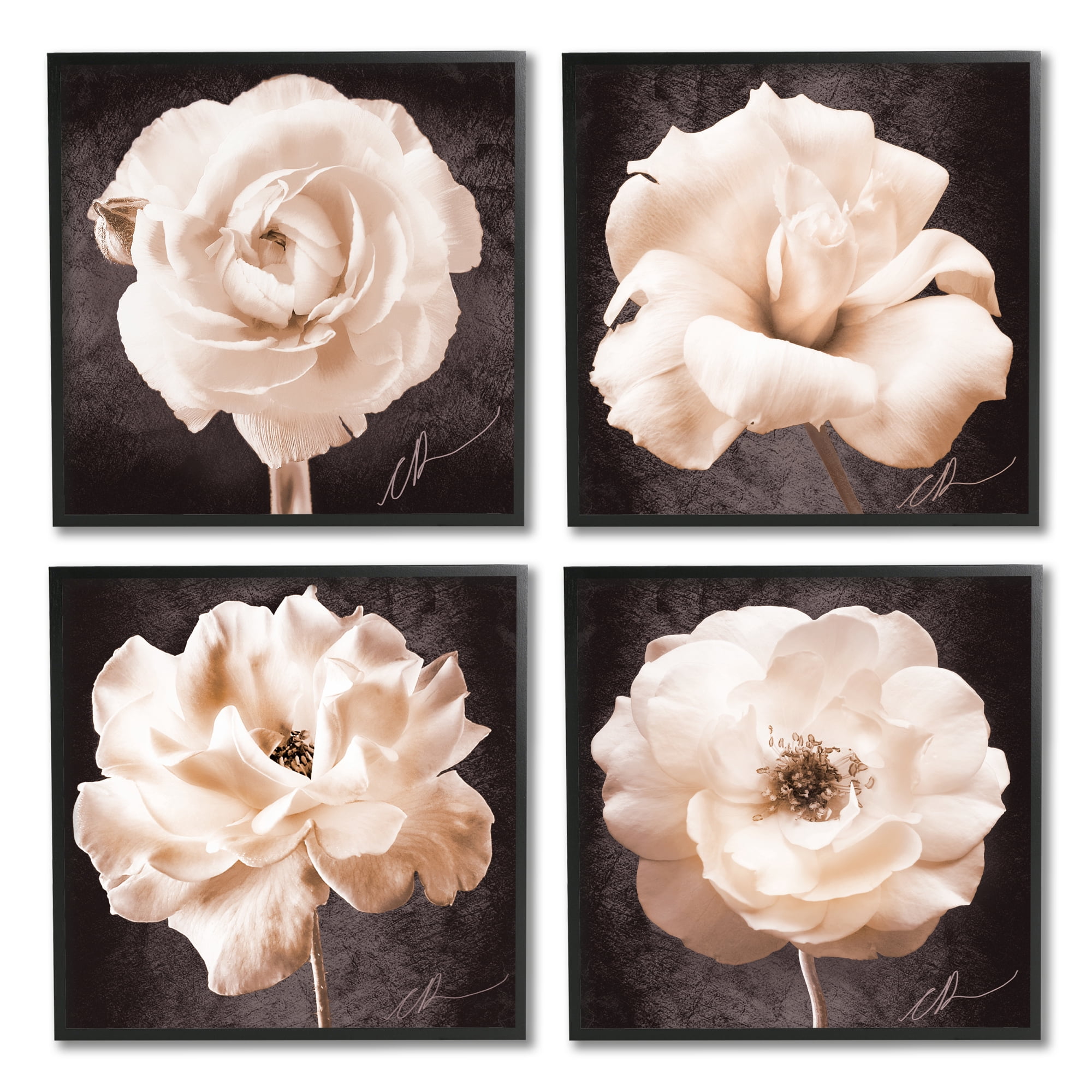 Stupell Industries Pink Vintage Flowers Botanical & Floral Painting Black Framed Art Print Wall Art, 17 x 17