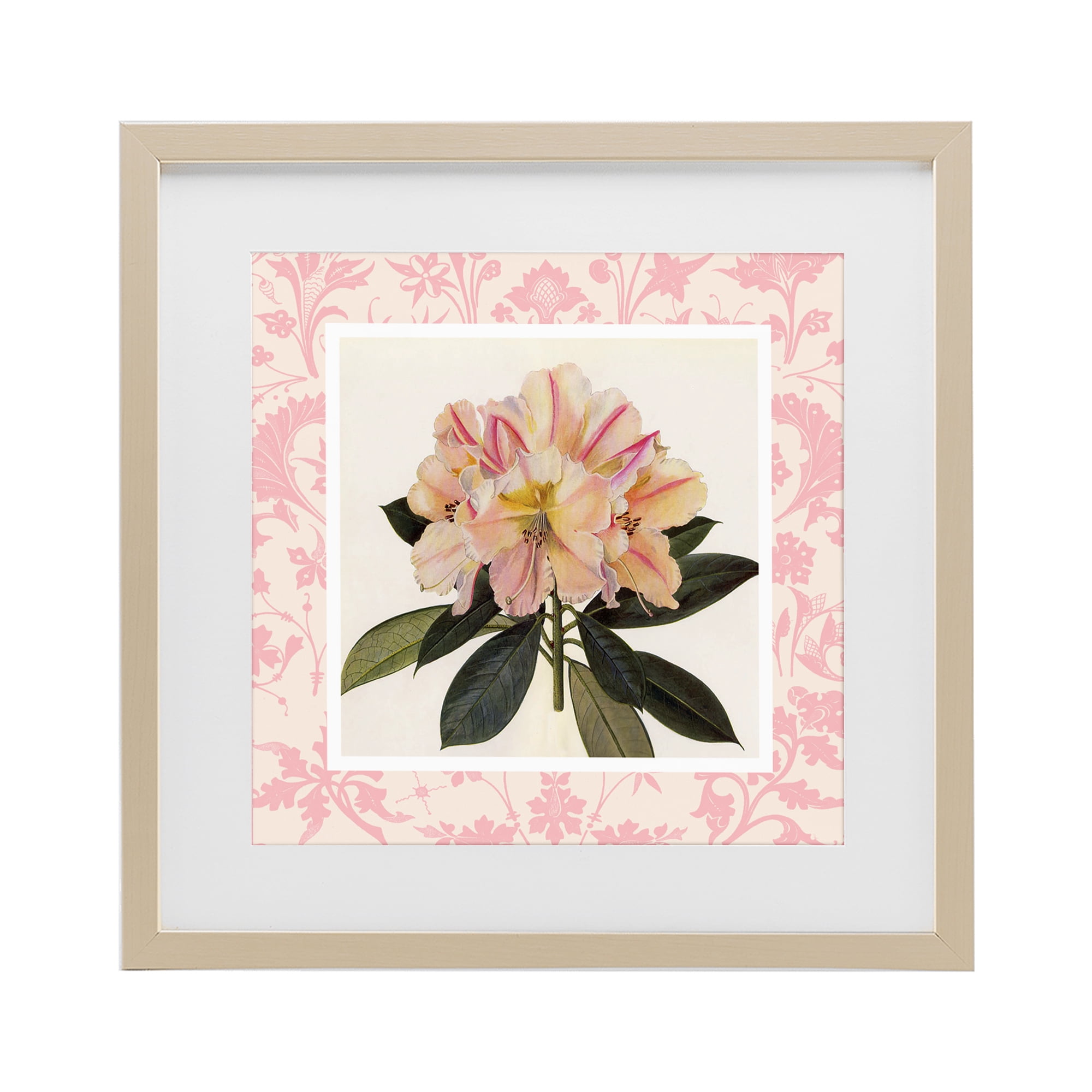 Stupell Industries Pink Vintage Pattern Botanical Birch Framed Print Under Glass, design by Livi Finn