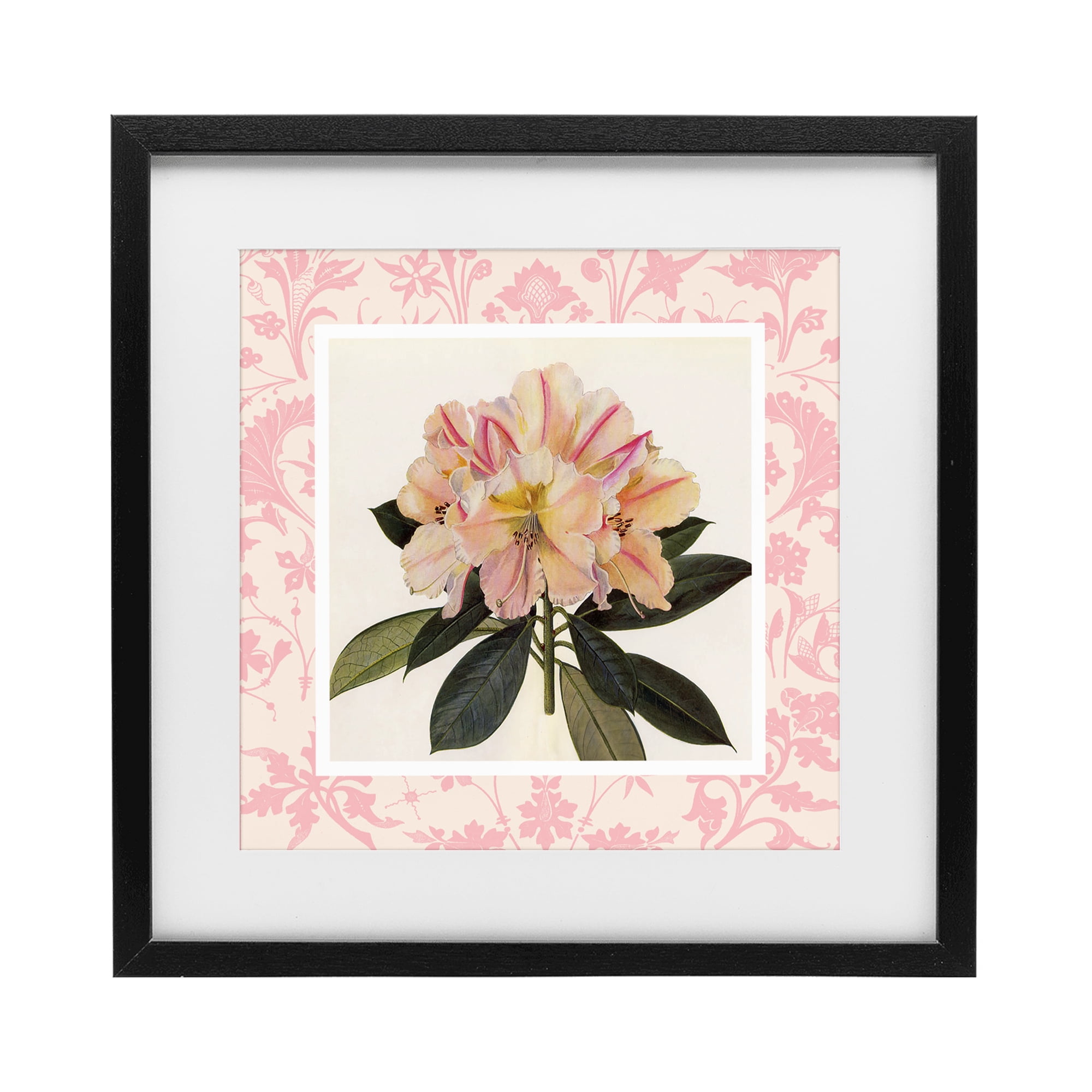Stupell Industries Pink Vintage Pattern Botanical Black Framed Print Under Glass, design by Livi Finn