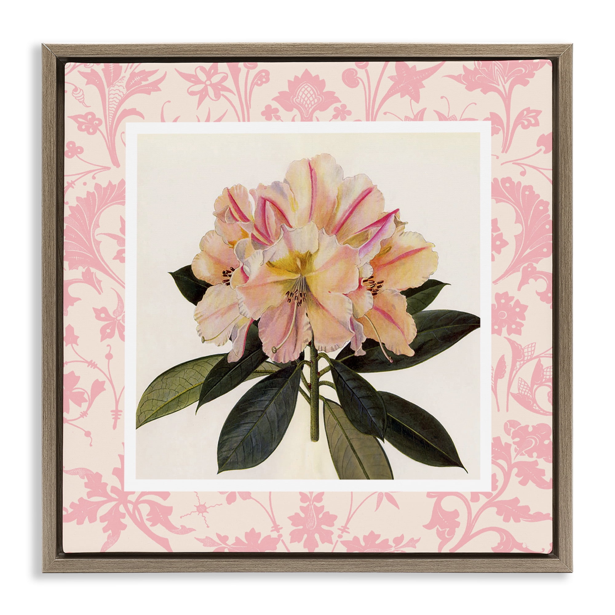 Stupell Industries Pink Vintage Pattern Botanical Brown Framed Floater Canvas Wall Art, design by Livi Finn