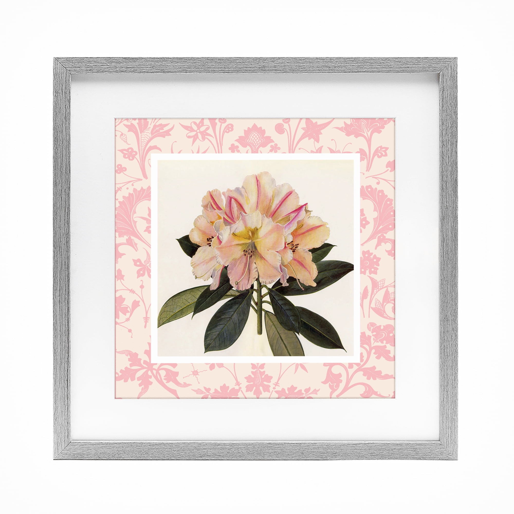 Stupell Industries Pink Vintage Pattern Botanical Gray Framed Print Under Glass, design by Livi Finn