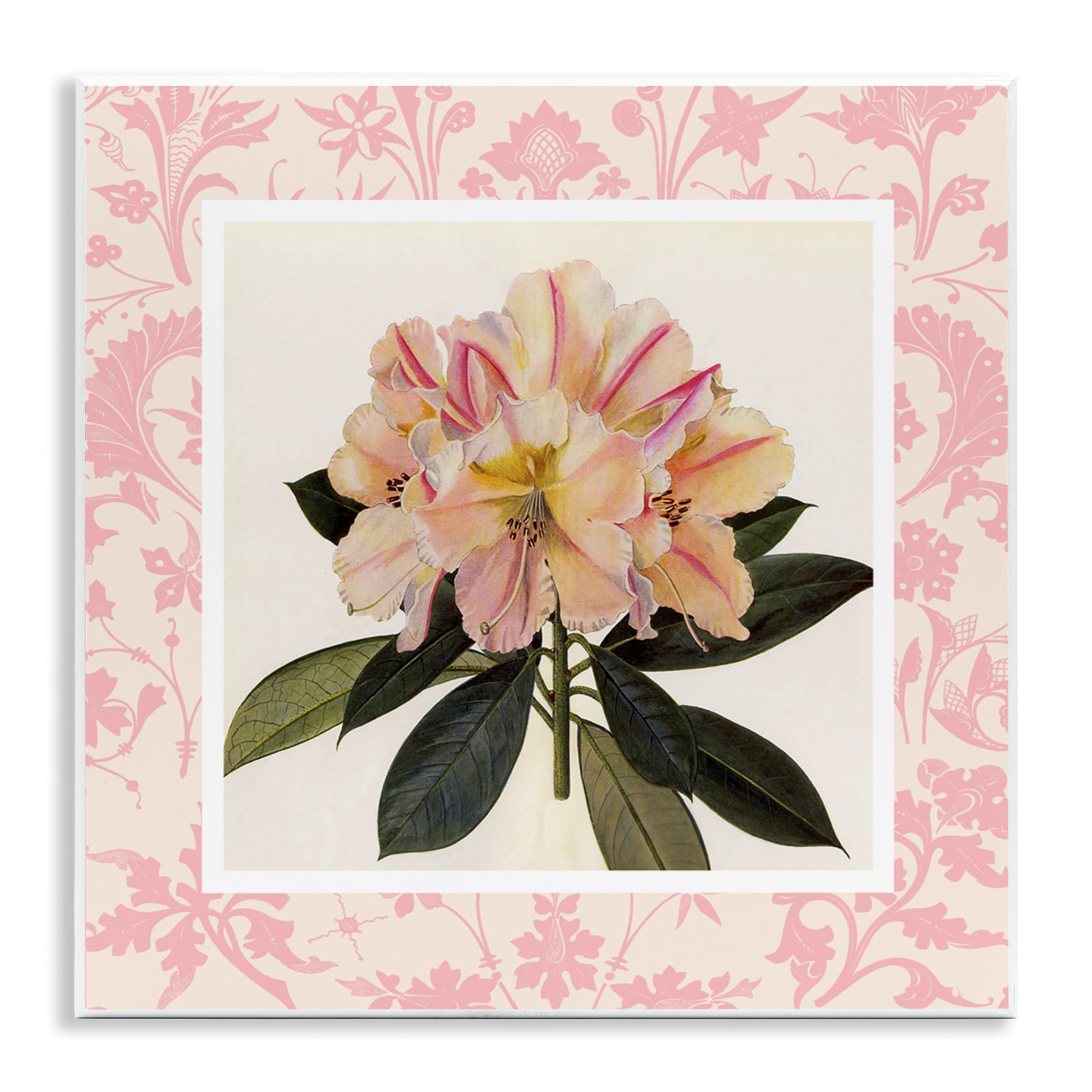 Stupell Industries Pink Vintage Pattern Botanical Wall Plaque Art, design by Livi Finn