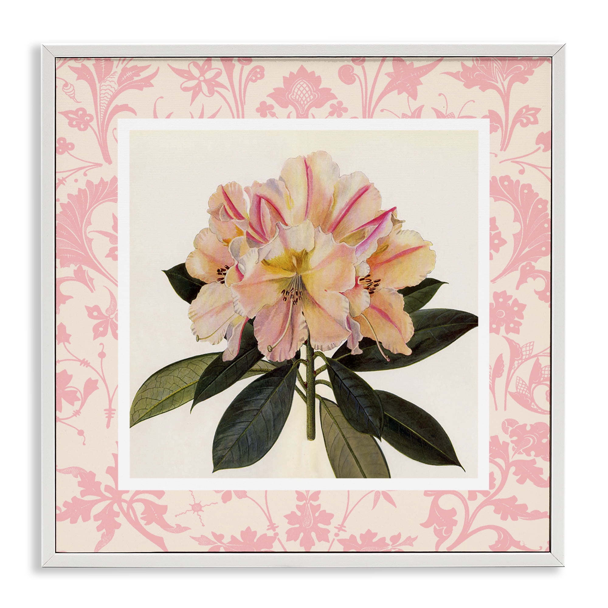 Stupell Industries Pink Vintage Pattern Botanical White Framed Giclee Art, design by Livi Finn