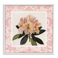 thumbnail image 1 of Stupell Industries Cottage Pink Vintage Pattern Botanical White Framed Giclee Art, 17 x 17, by Livi Finn, 1 of 8