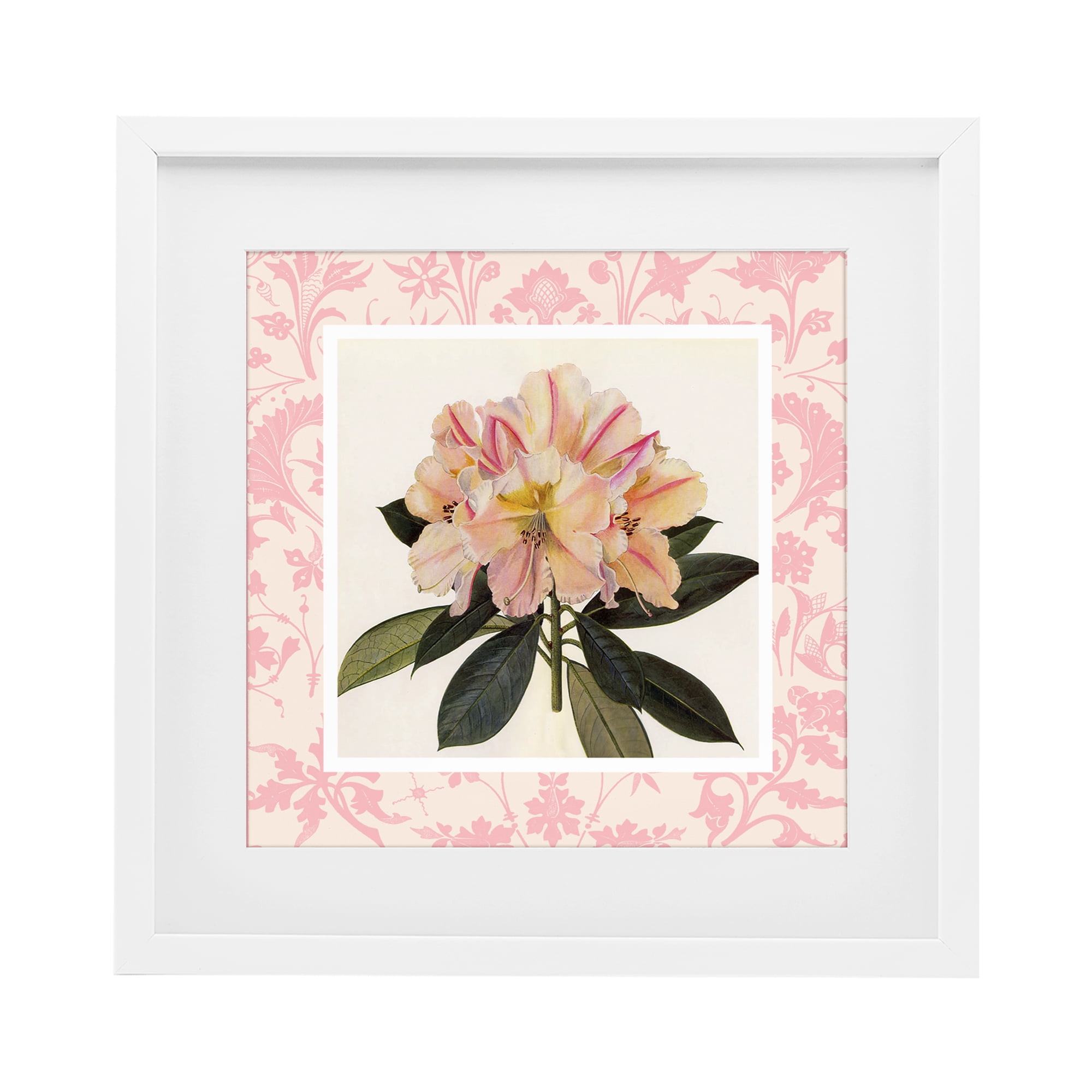 Stupell Industries Pink Vintage Pattern Botanical White Framed Print Under Glass, design by Livi Finn