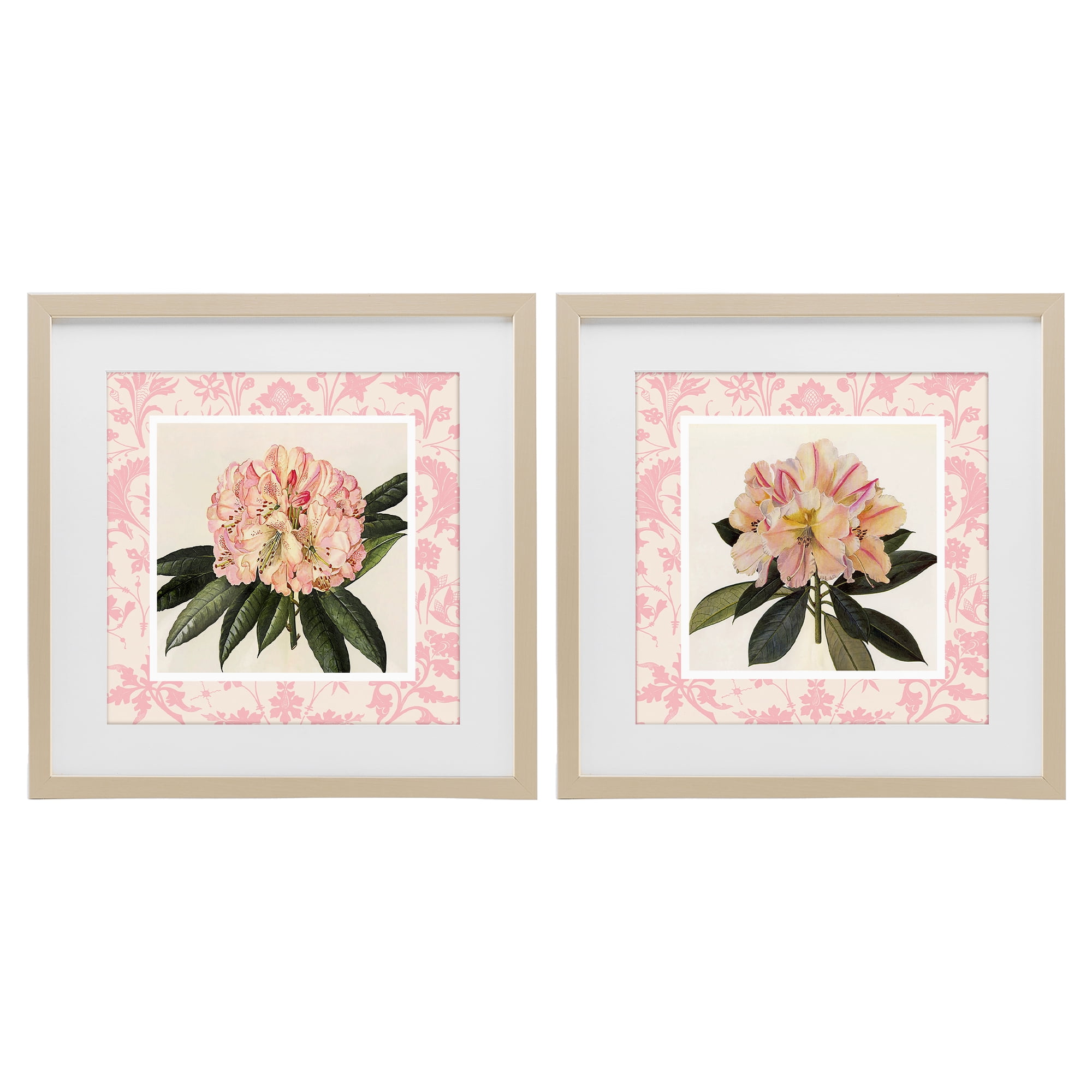 Stupell Industries Pink Vintage Pattern Botanicals 2 Piece Birch Framed Print Under Glass Set, design by Livi Finn