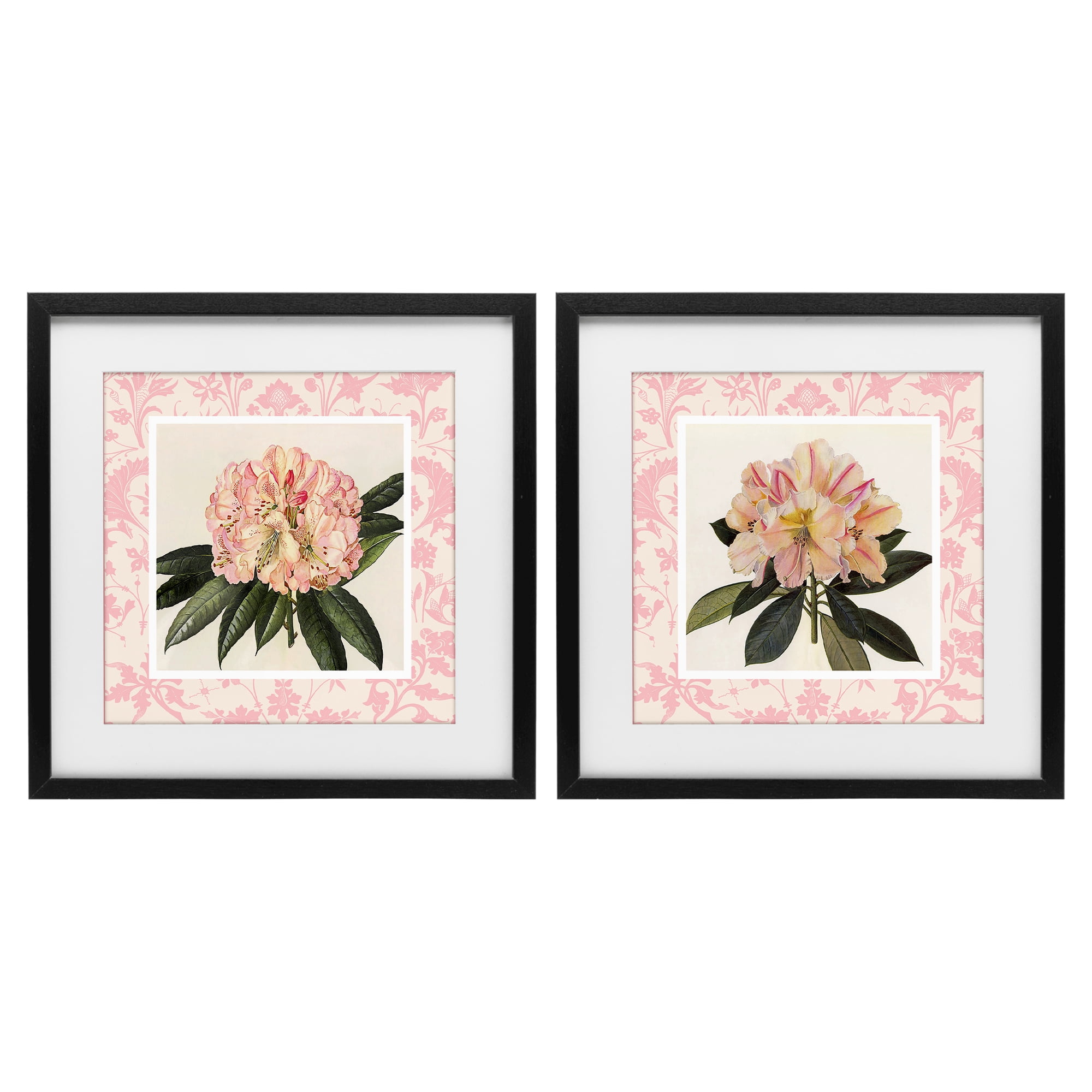 Stupell Industries Pink Vintage Pattern Botanicals 2 Piece Black Framed Print Under Glass Set, design by Livi Finn