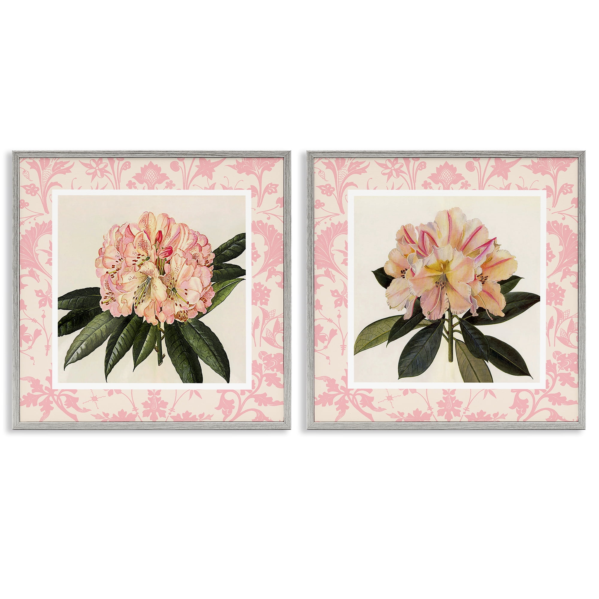 Stupell Industries Pink Vintage Pattern Botanicals 2 Piece Gray Framed Giclee Art Set, design by Livi Finn