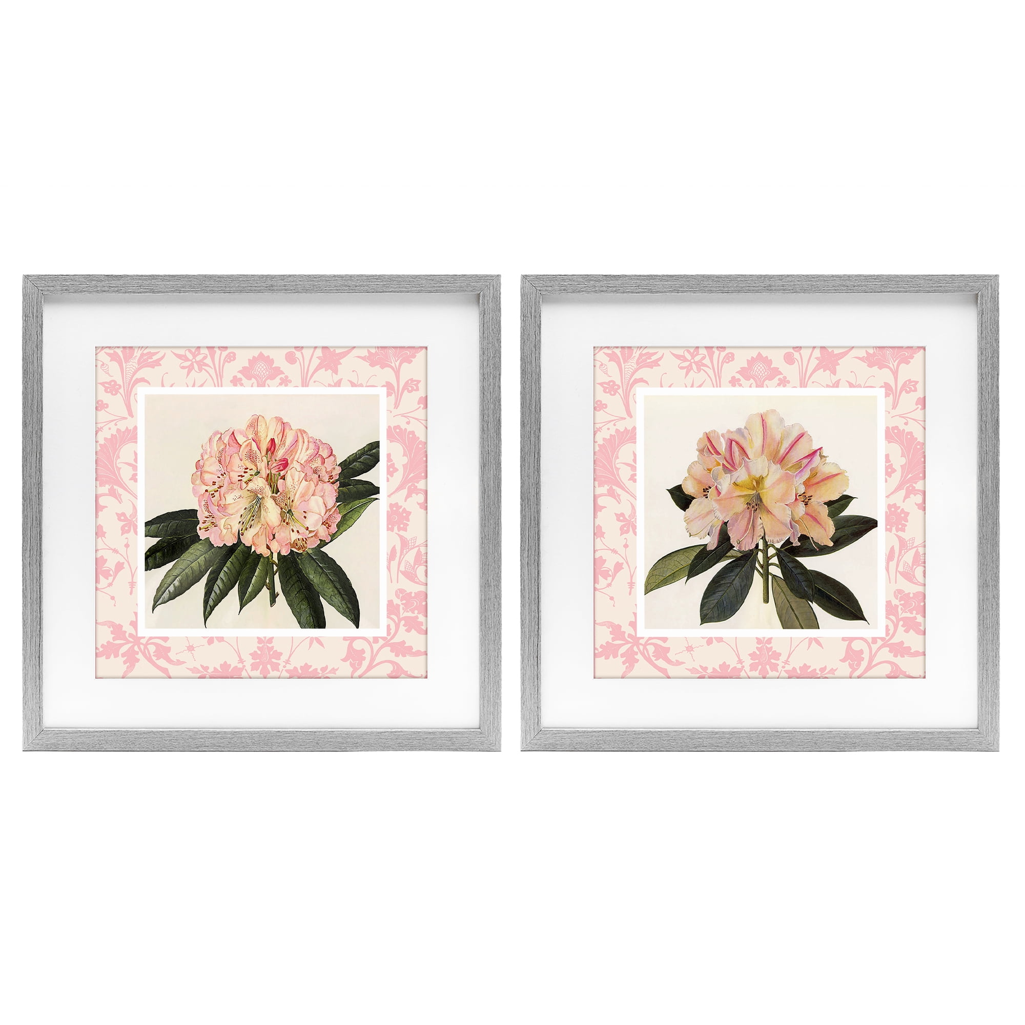 Stupell Industries Pink Vintage Pattern Botanicals 2 Piece Gray Framed Print Under Glass Set, design by Livi Finn
