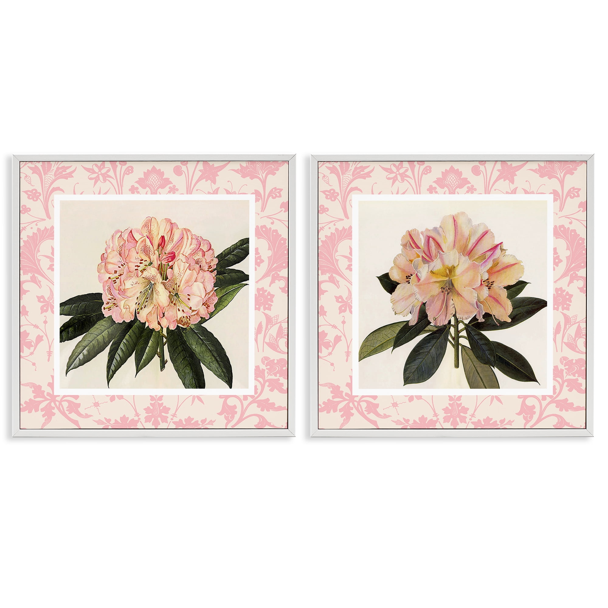 Stupell Industries Pink Vintage Pattern Botanicals 2 Piece White Framed Giclee Art Set, design by Livi Finn