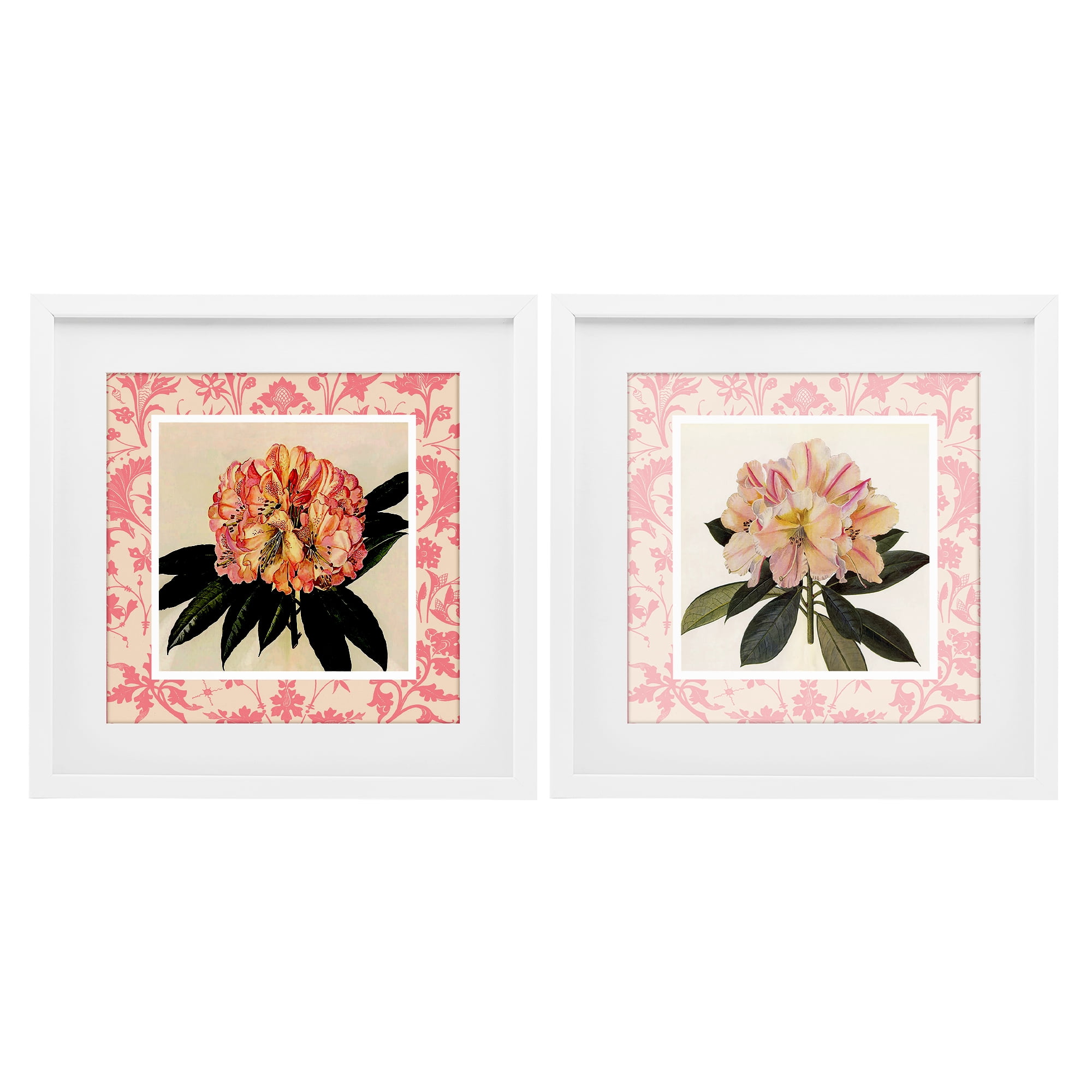 Stupell Industries Pink Vintage Pattern Botanicals 2 Piece White Framed Print Under Glass Set, design by Livi Finn