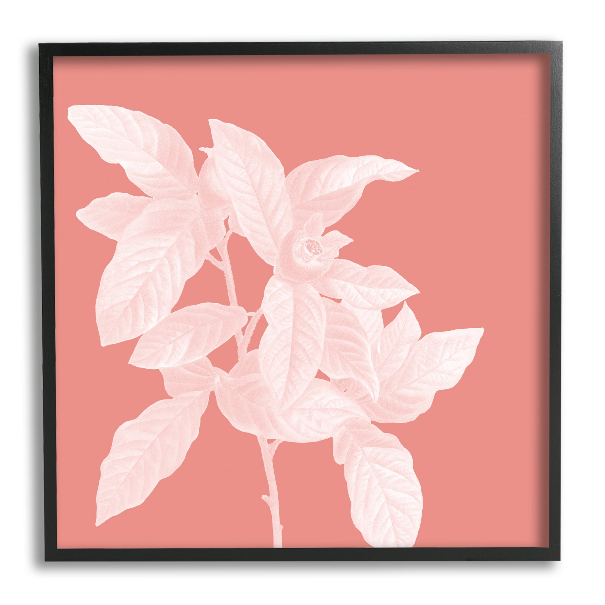Stupell Industries Pink & White Botanical Botanical & Floral Painting Black Framed Art Print Wall Art, 17 x 17