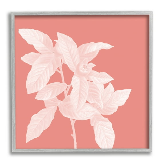 Stupell Industries Pink & White Botanical Botanical & Floral Painting Gray Framed Art Print Wall Art, 12 x 12