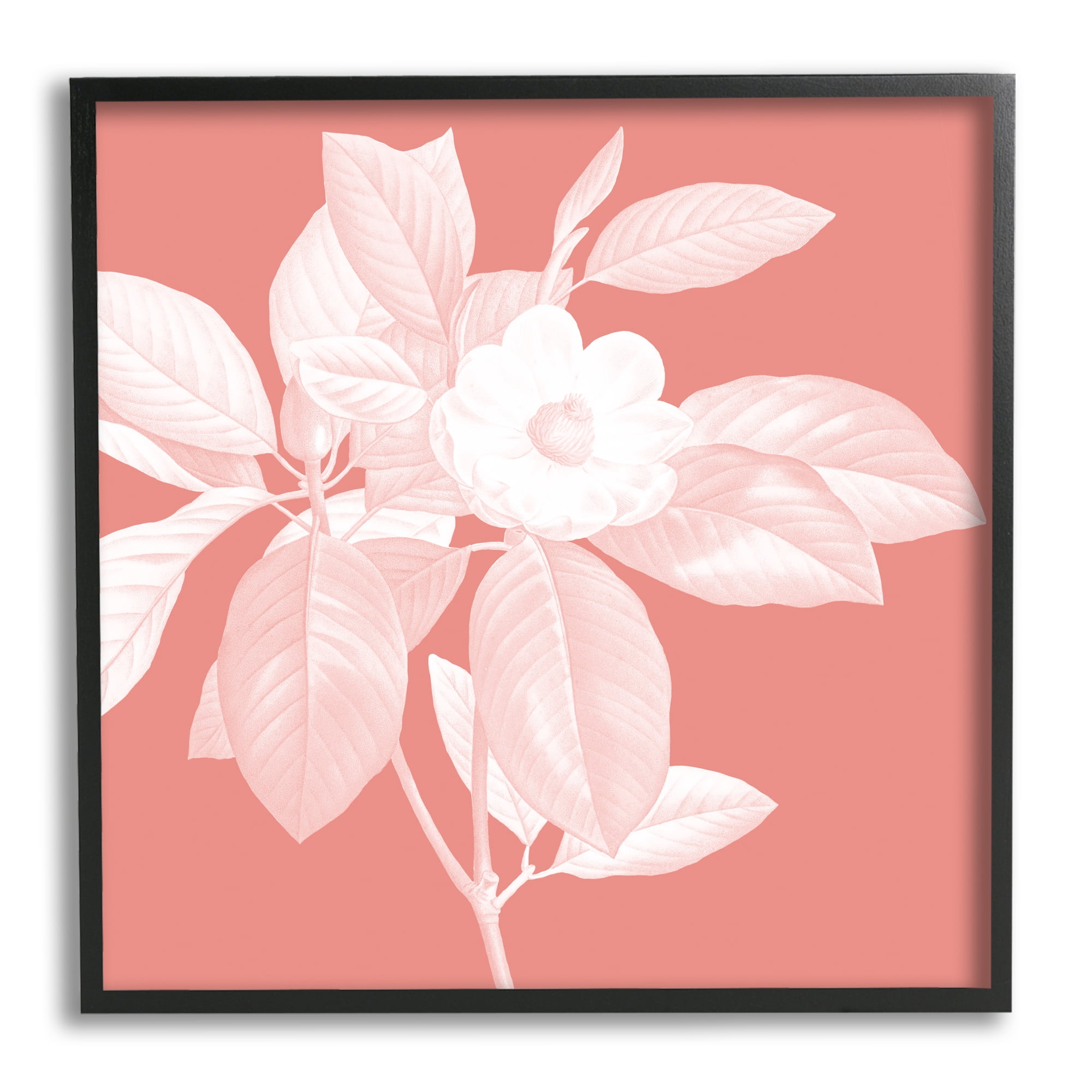 Stupell Industries Pink & White Floral Botanical & Floral Painting Black Framed Art Print Wall Art, 12 x 12