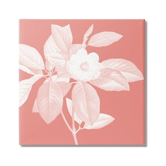 Stupell Industries Pink & White Floral Botanical & Floral Painting Gallery Wrapped Canvas Art Print Wall Art, 17 x 17