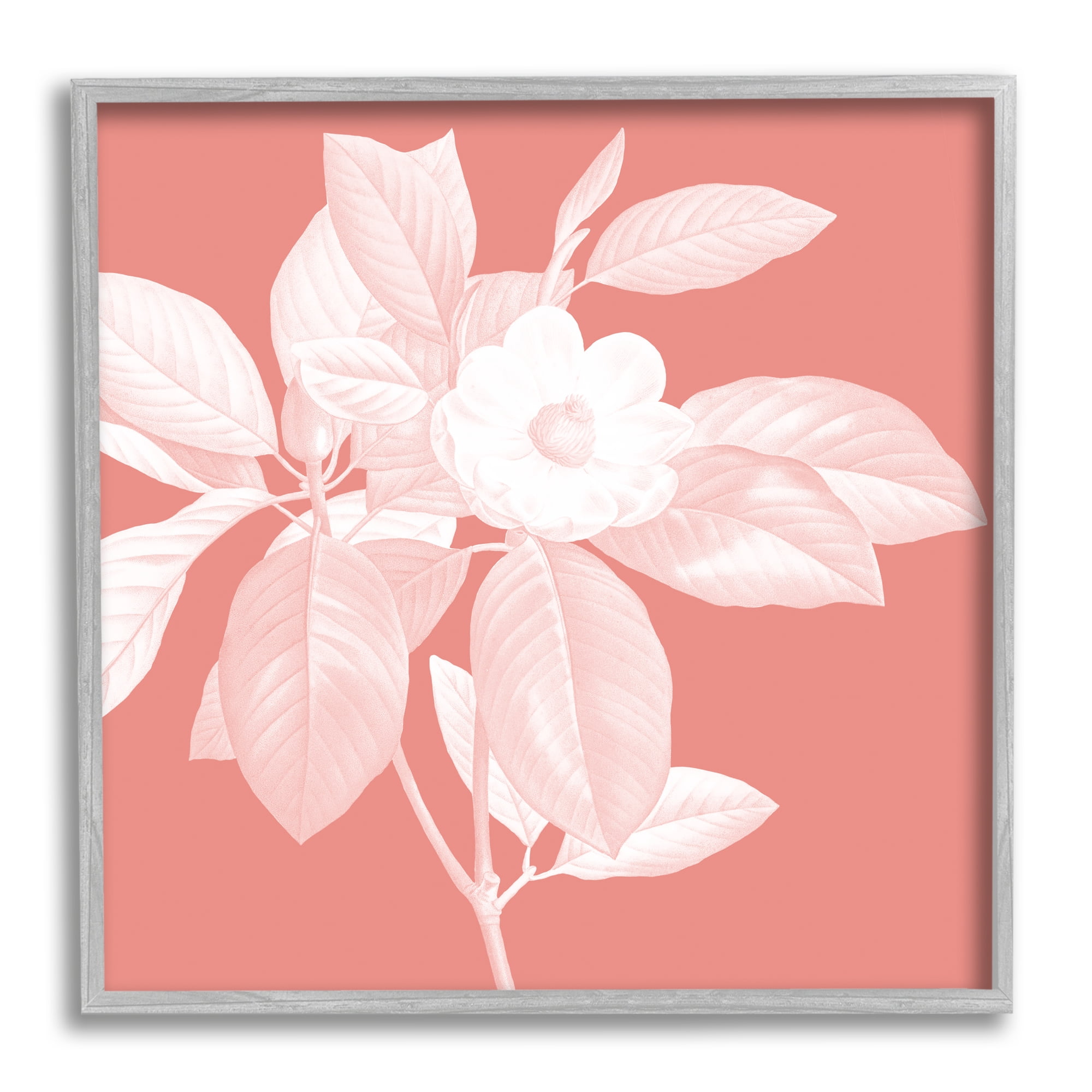 Stupell Industries Pink & White Floral Botanical & Floral Painting Gray Framed Art Print Wall Art, 12 x 12