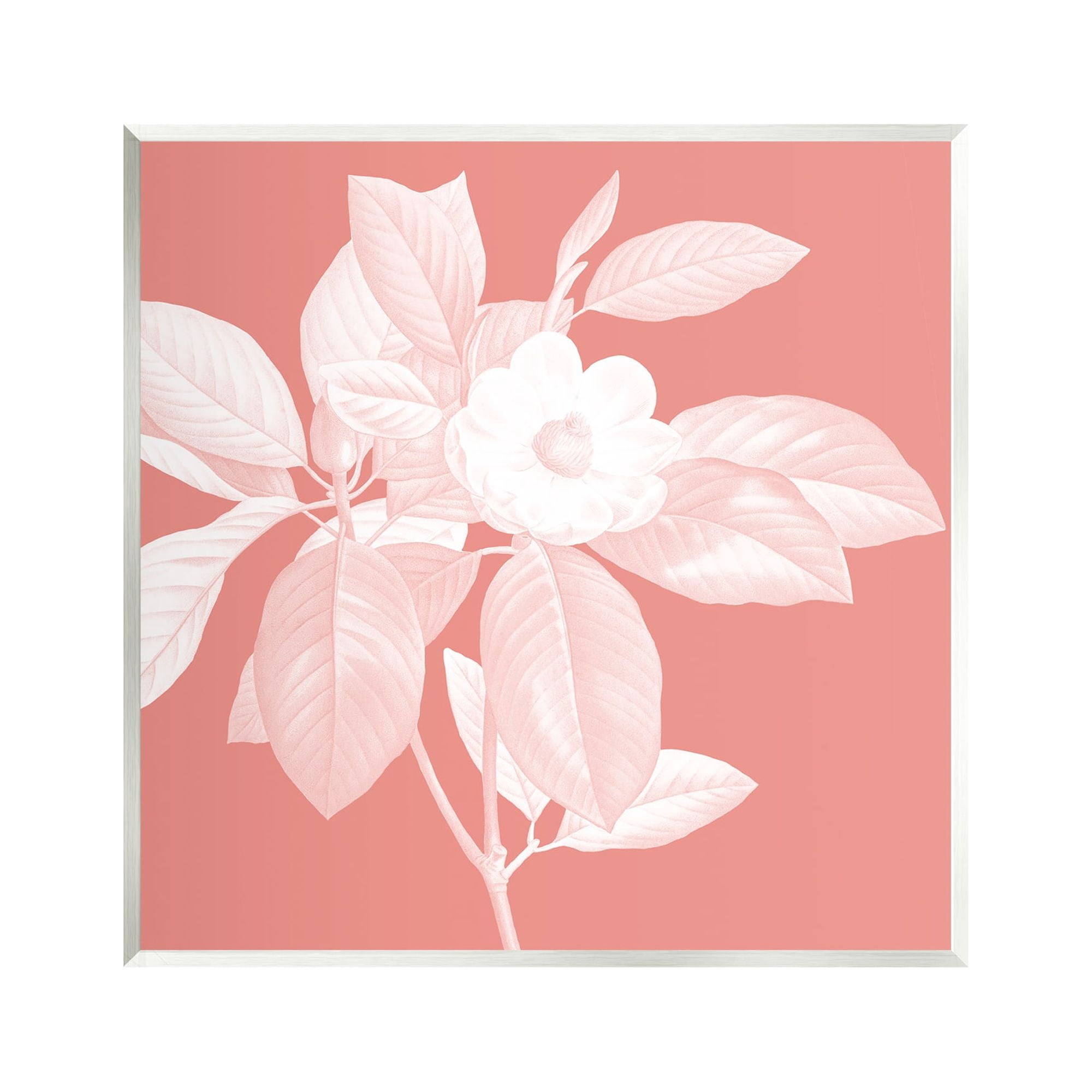 Stupell Industries Pink & White Floral Botanical & Floral Painting Unframed Art Print Wall Art, 12 x 12