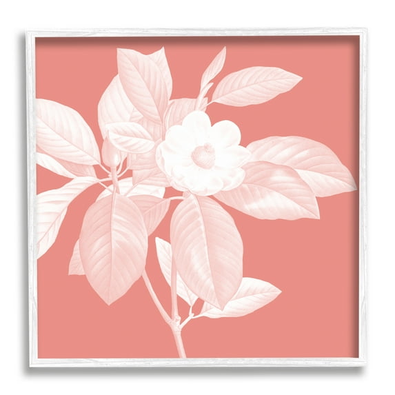 Stupell Industries Pink & White Floral Botanical & Floral Painting White Framed Art Print Wall Art, 12 x 12