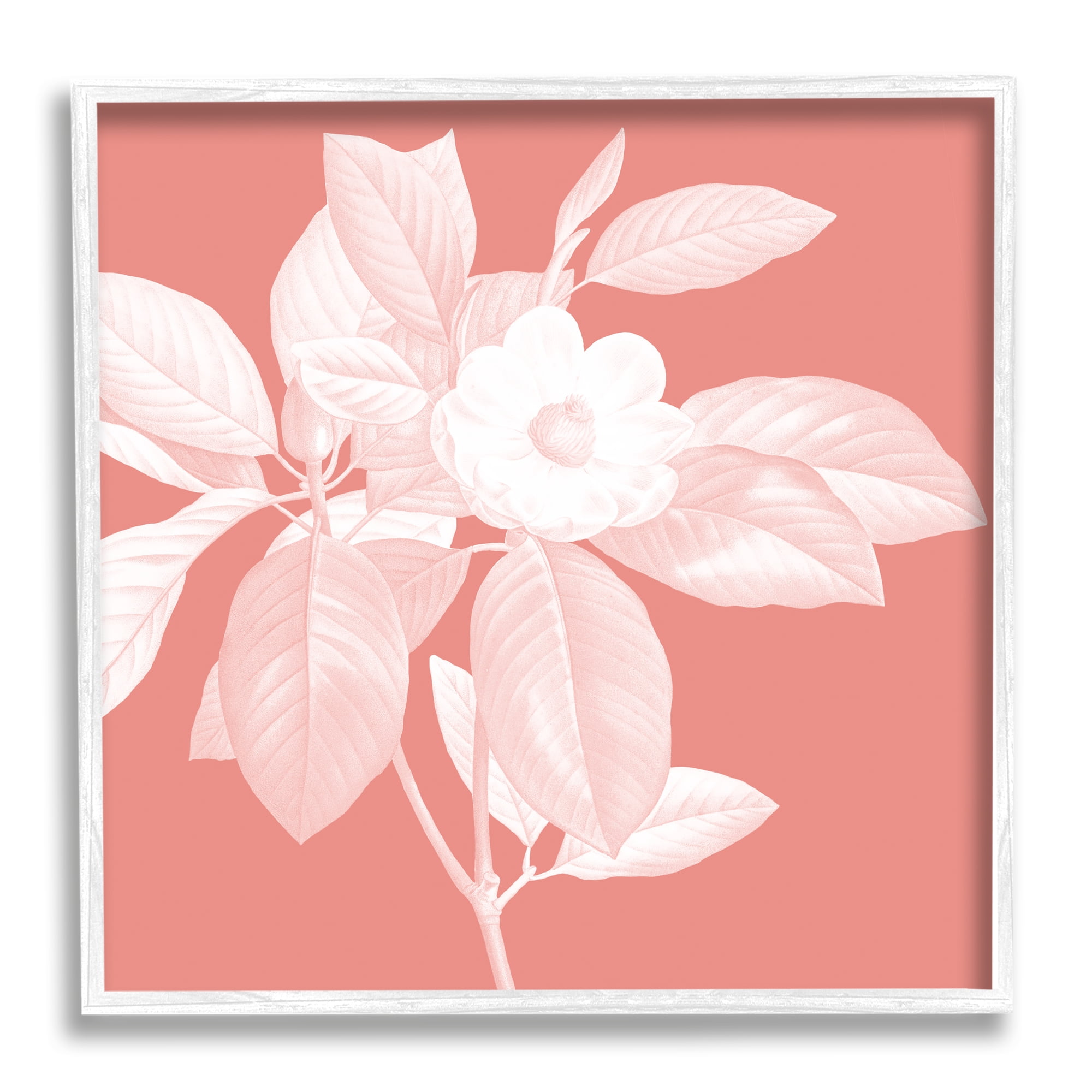 Stupell Industries Pink & White Floral Botanical & Floral Painting White Framed Art Print Wall Art, 24 x 24