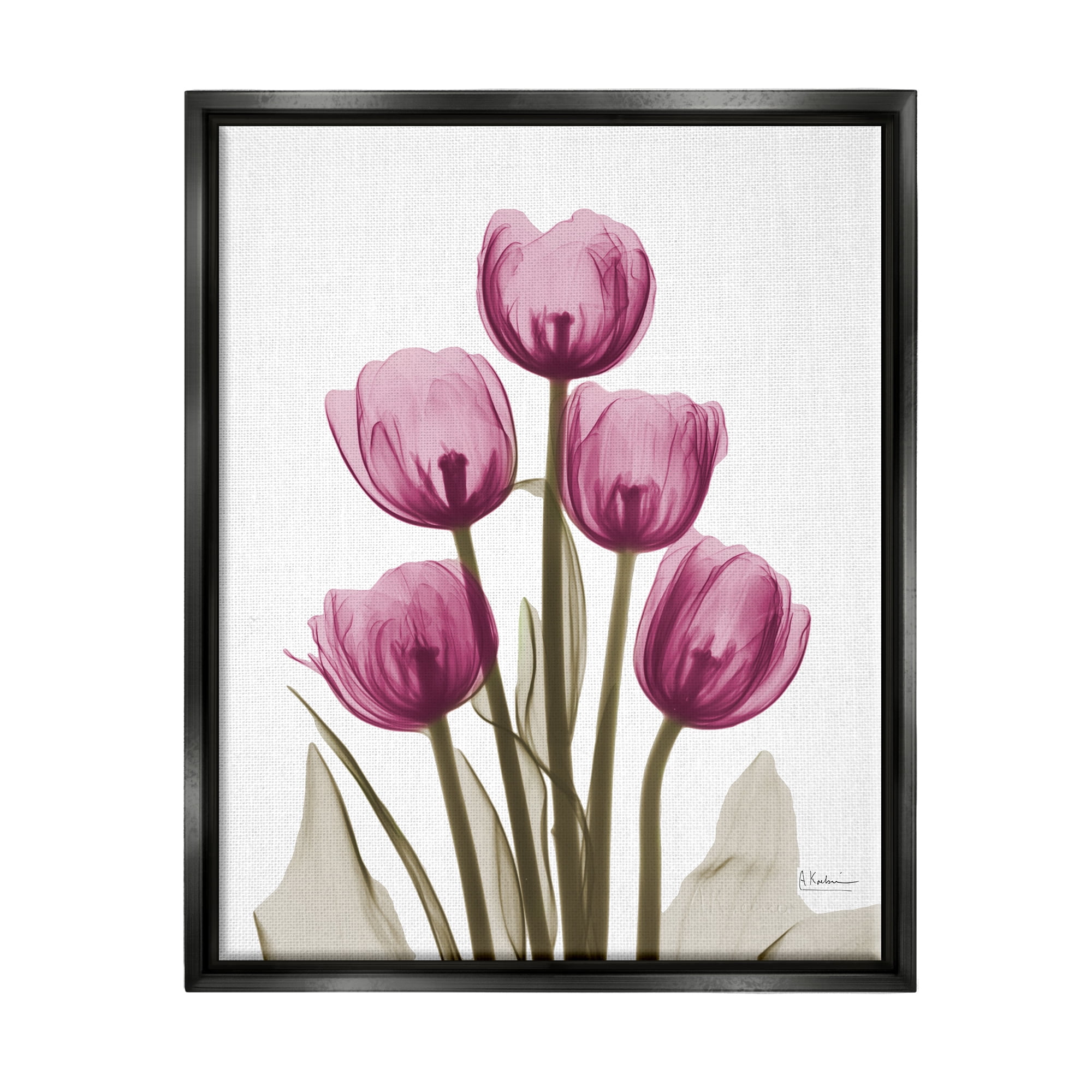 Stupell Industries Pink X-Ray Tulips Botanical & Floral Photography Black Floater Framed Art Print Wall Art, 25 x 31