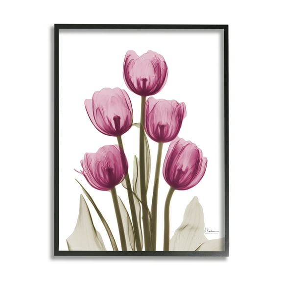 Stupell Industries Pink X-Ray Tulips Botanical & Floral Photography Black Framed Art Print Wall Art, 11 x 14