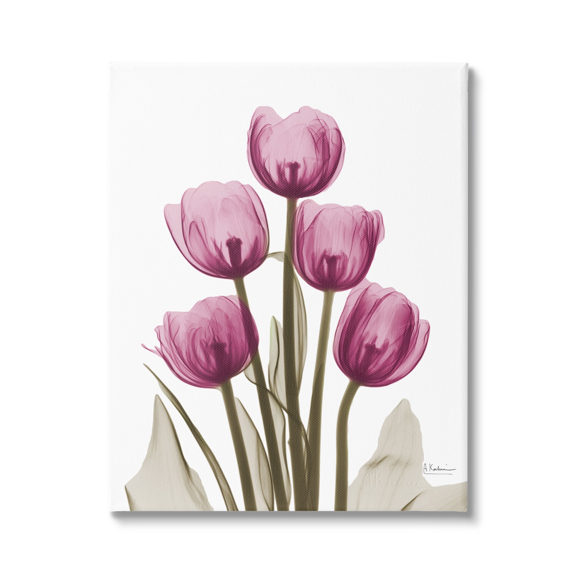 Stupell Industries Pink X-Ray Tulips Botanical & Floral Photography Gallery Wrapped Canvas Print Wall Art, 36 x 48