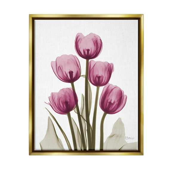 Stupell Industries Pink X-Ray Tulips Botanical & Floral Photography Gold Floater Framed Art Print Wall Art, 17 x 21