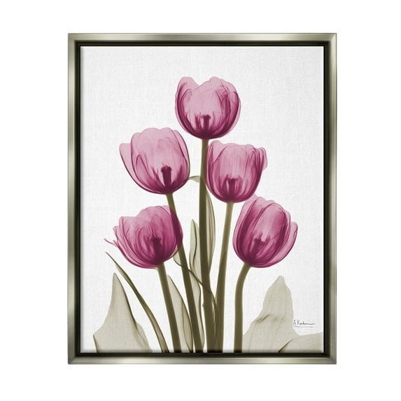 Stupell Industries Pink X-Ray Tulips Botanical & Floral Photography Gray Floater Framed Art Print Wall Art, 25 x 31