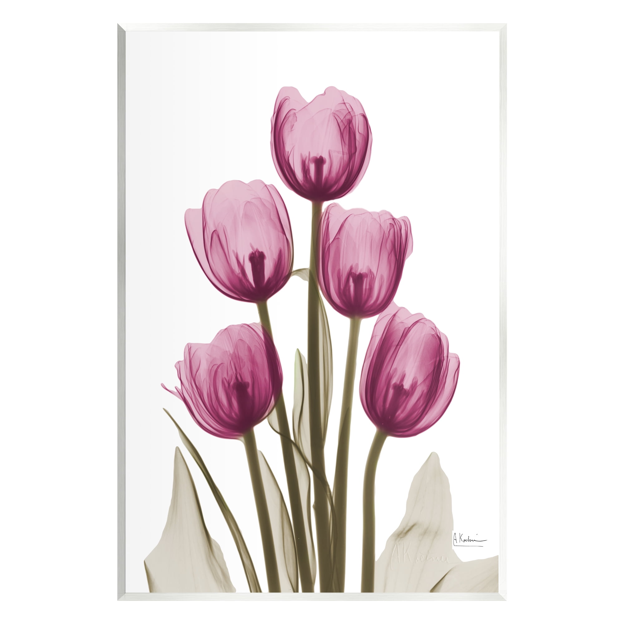 Stupell Industries Pink X-Ray Tulips Botanical & Floral Photography Unframed Art Print Wall Art, 13 x 19