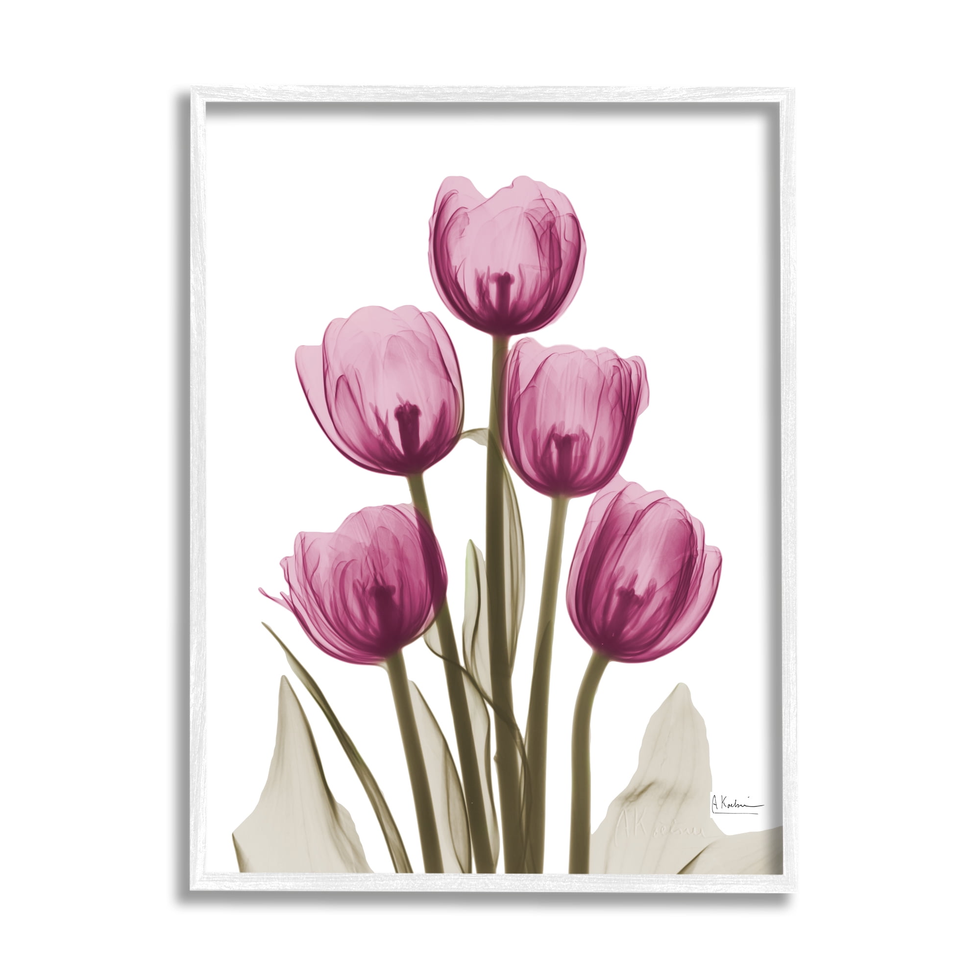 Stupell Industries Pink X-Ray Tulips Botanical & Floral Photography White Framed Art Print Wall Art, 16 x 20