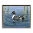 thumbnail image 1 of Stupell Industries Farmhouse Pintail Loon in Pond Brown Floating Frame Canvas Art, 21 x 17, by Valerie Rogers, 1 of 8