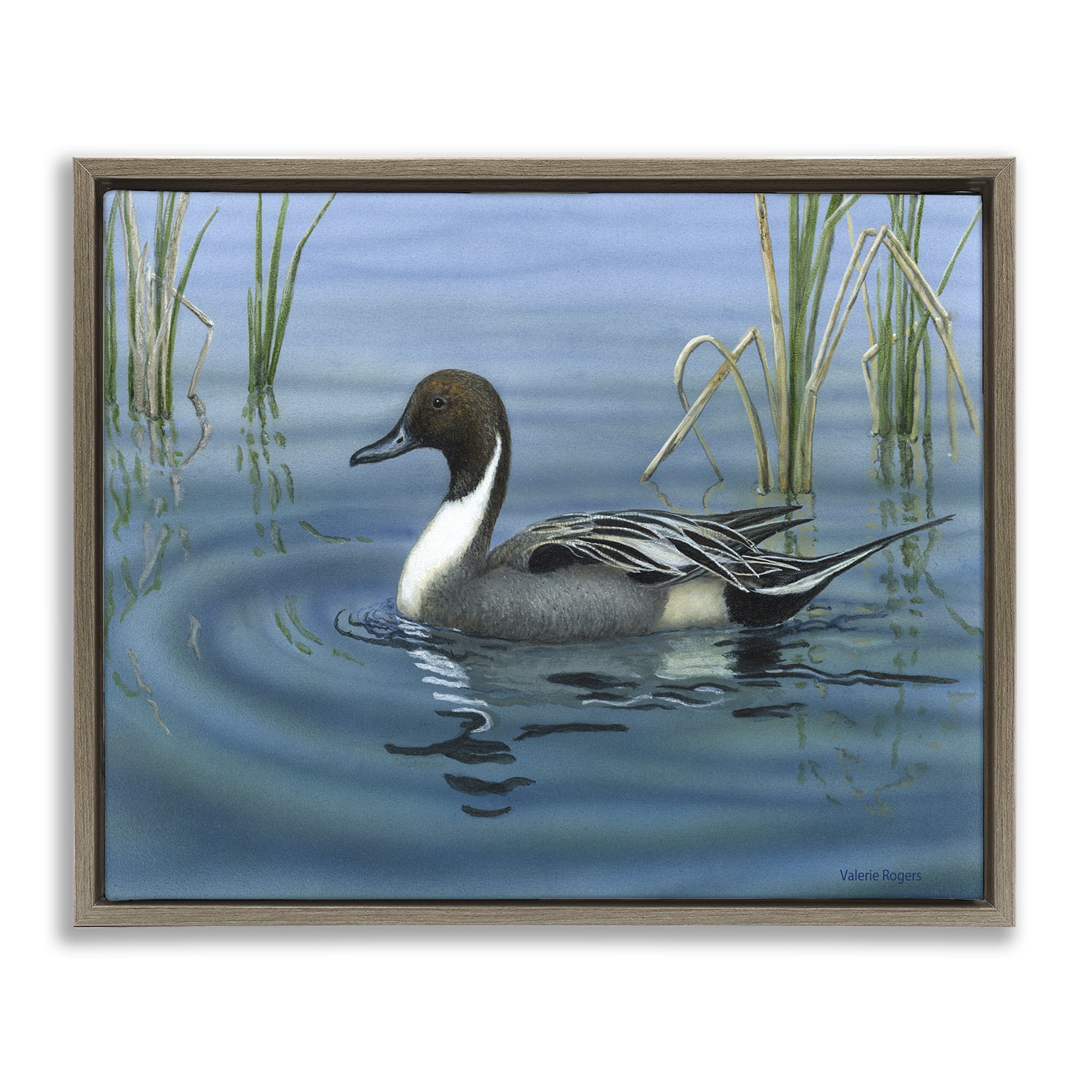 Stupell Industries Pintail Loon in Pond Animals Painting Brown Floater Framed Canvas Art Print Wall Art, 31 x 25