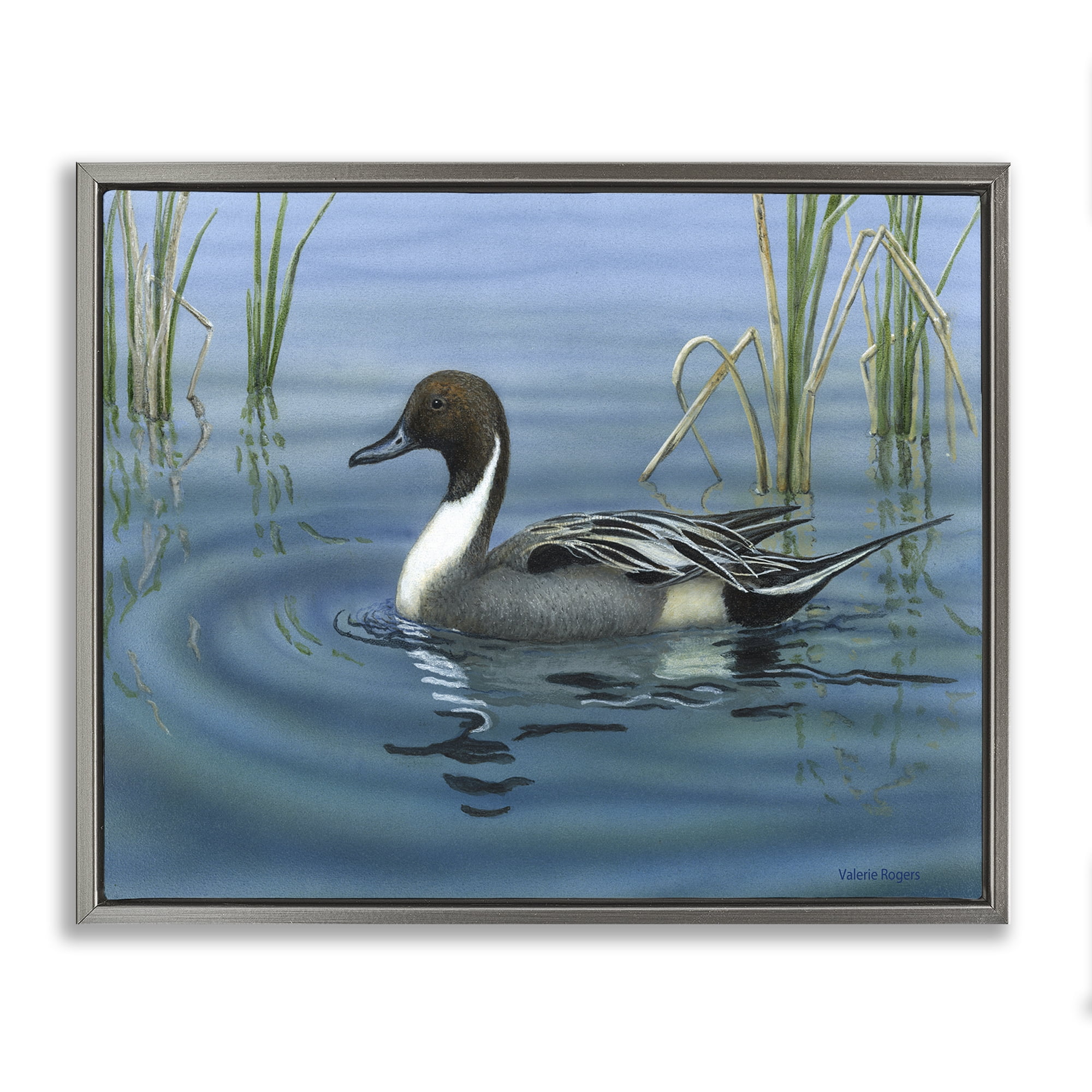 Stupell Industries Pintail Loon in Pond Animals Painting Gray Floater Framed Canvas Art Print Wall Art, 21 x 17