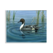Stupell Industries Pintail Loon in Pond Animals Painting Unframed Art Print Wall Art, 14 x 11