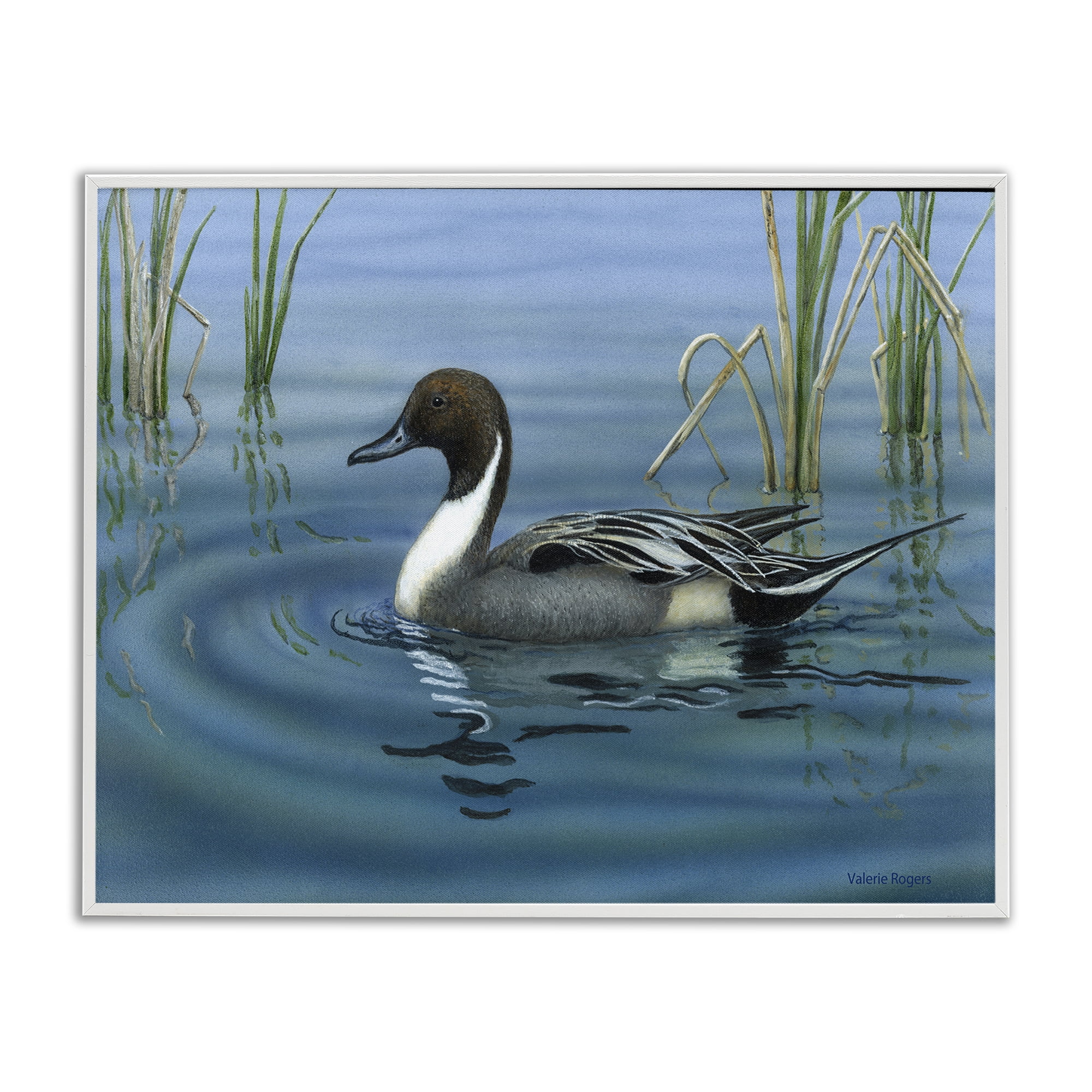 Stupell Industries Pintail Loon in Pond Animals Painting White Framed Art Print Wall Art, 20 x 16