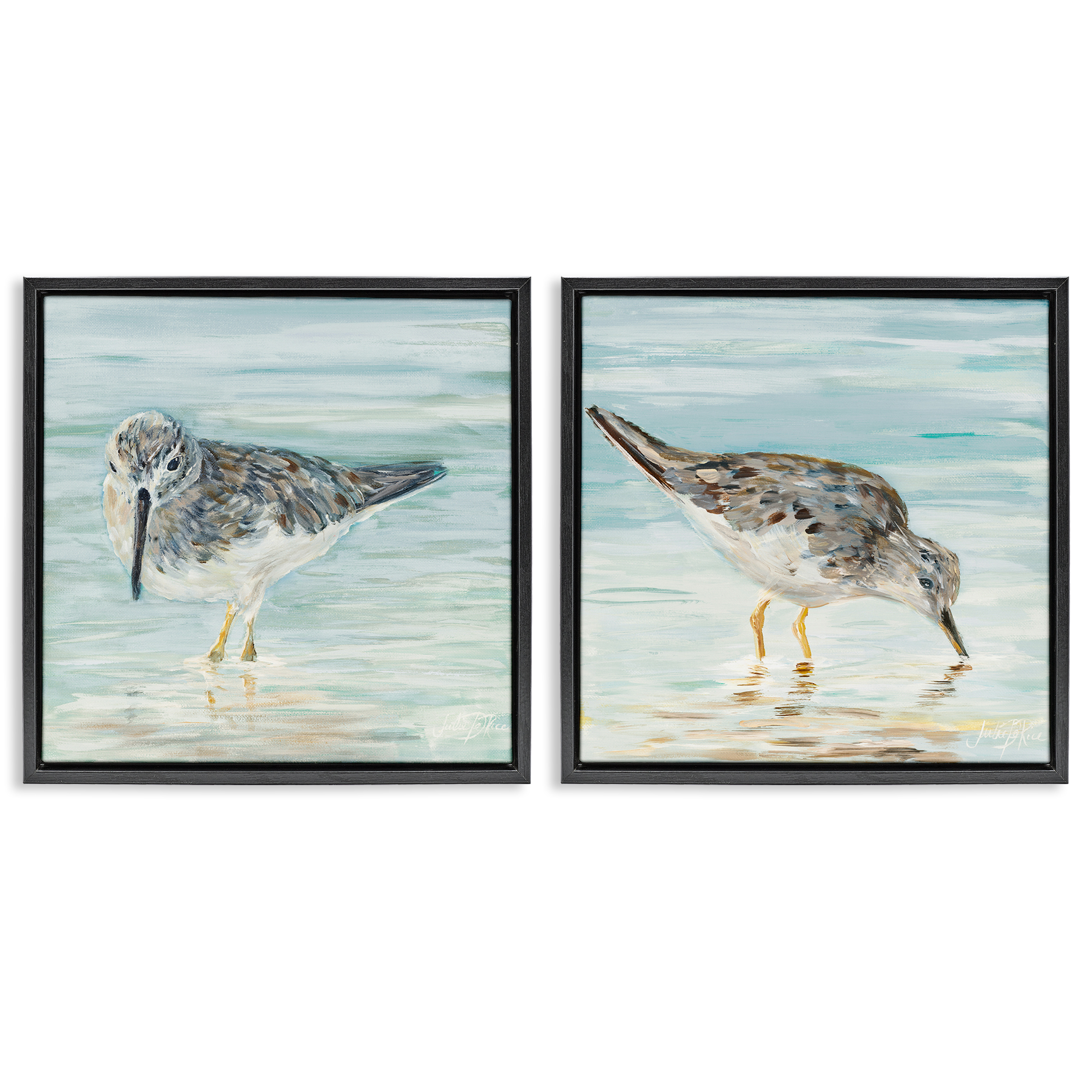 Stupell Industries Piping Plover Shoreline Birds Animals Painting Black Floater Framed Canvas Art Print Wall Art, 25 x 25, Set of 2