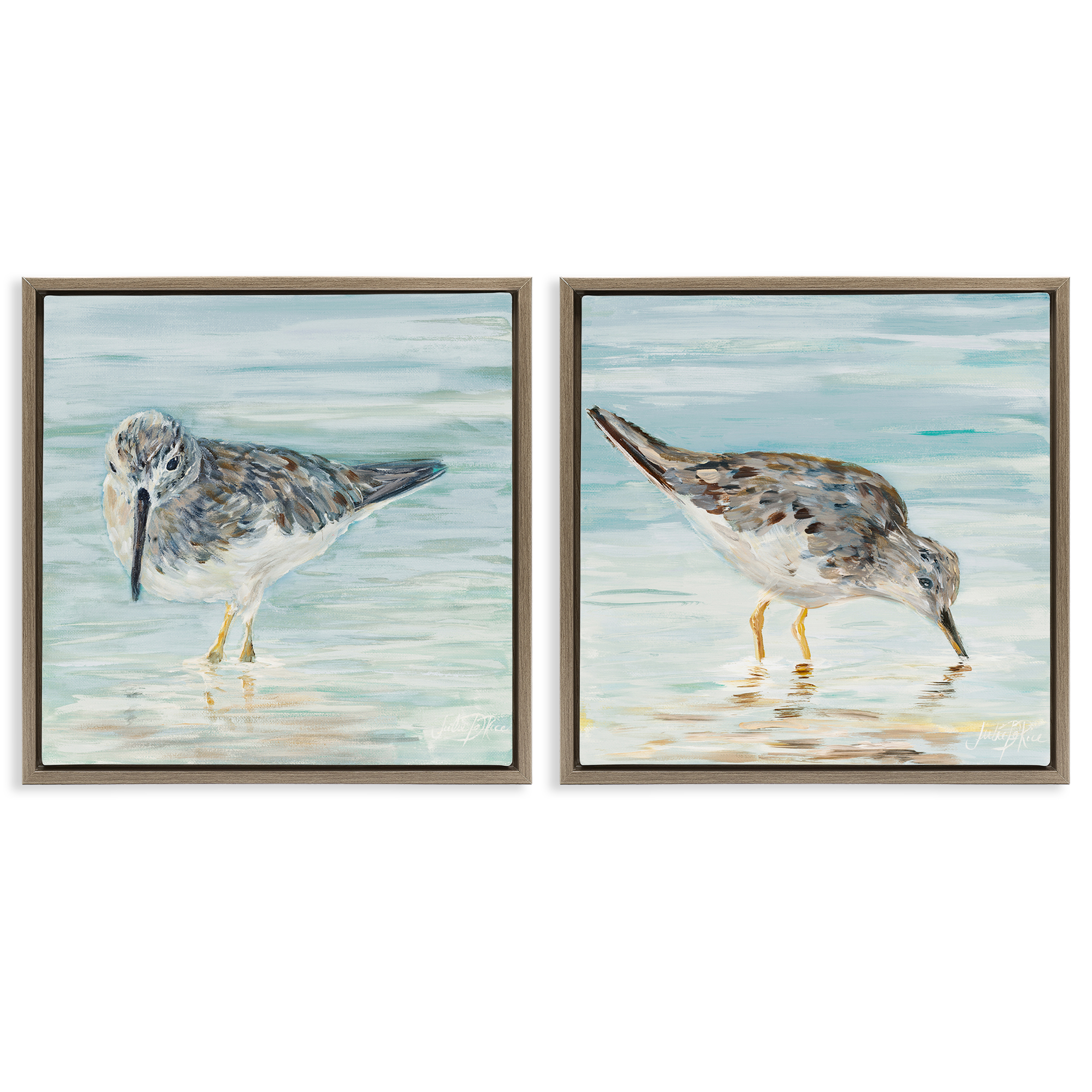 Stupell Industries Piping Plover Shoreline Birds Animals Painting Brown Floater Framed Canvas Art Print Wall Art, 18 x 18, Set of 2