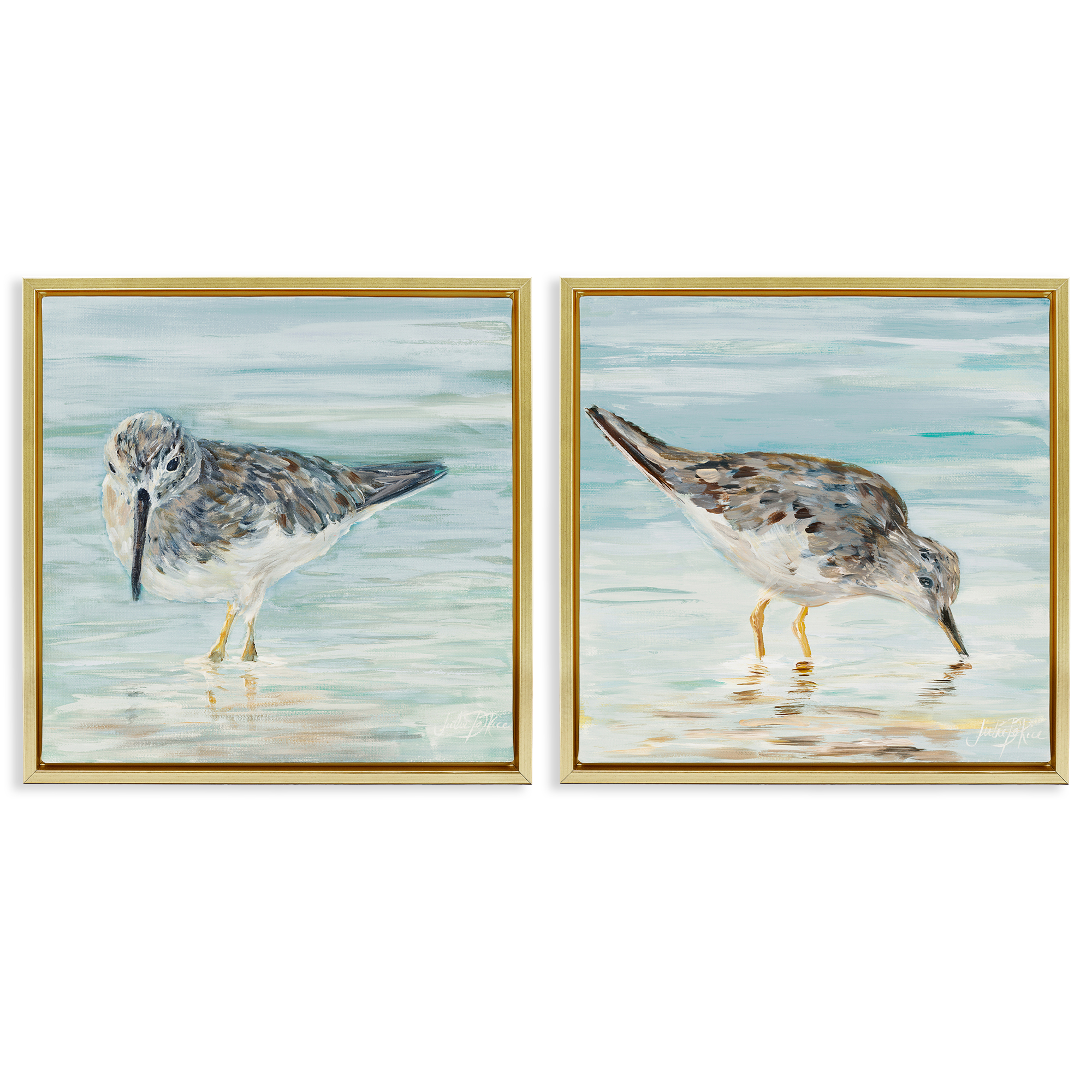 Stupell Industries Piping Plover Shoreline Birds Animals Painting Gold Floater Framed Canvas Art Print Wall Art, 25 x 25, Set of 2