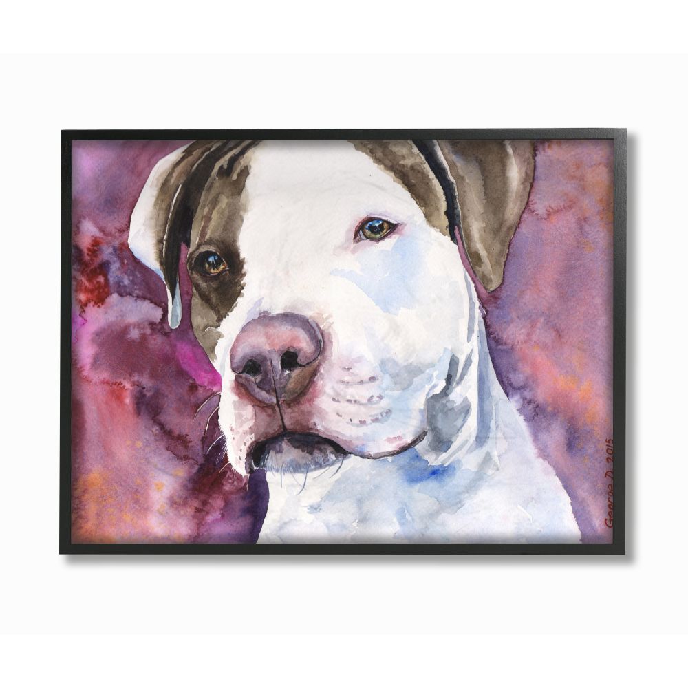 Stupell Industries Pit Bull Dog Pet Animal Purple Watercolor Painting Framed Giclee Texturized Art by George Dyachenko