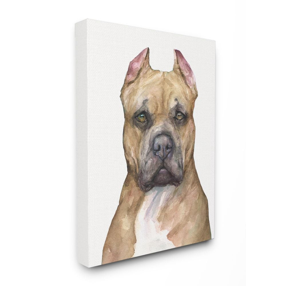 Stupell Industries Pit Bull Dog Pet Animal Watercolor Painting Canvas Wall Art by George Dyachenko
