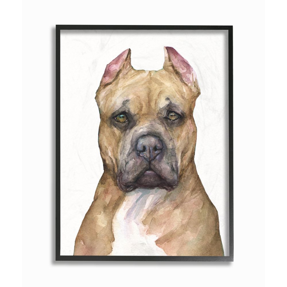Stupell Industries Pit Bull Dog Pet Animal Watercolor Painting Framed Giclee Texturized Art by George Dyachenko