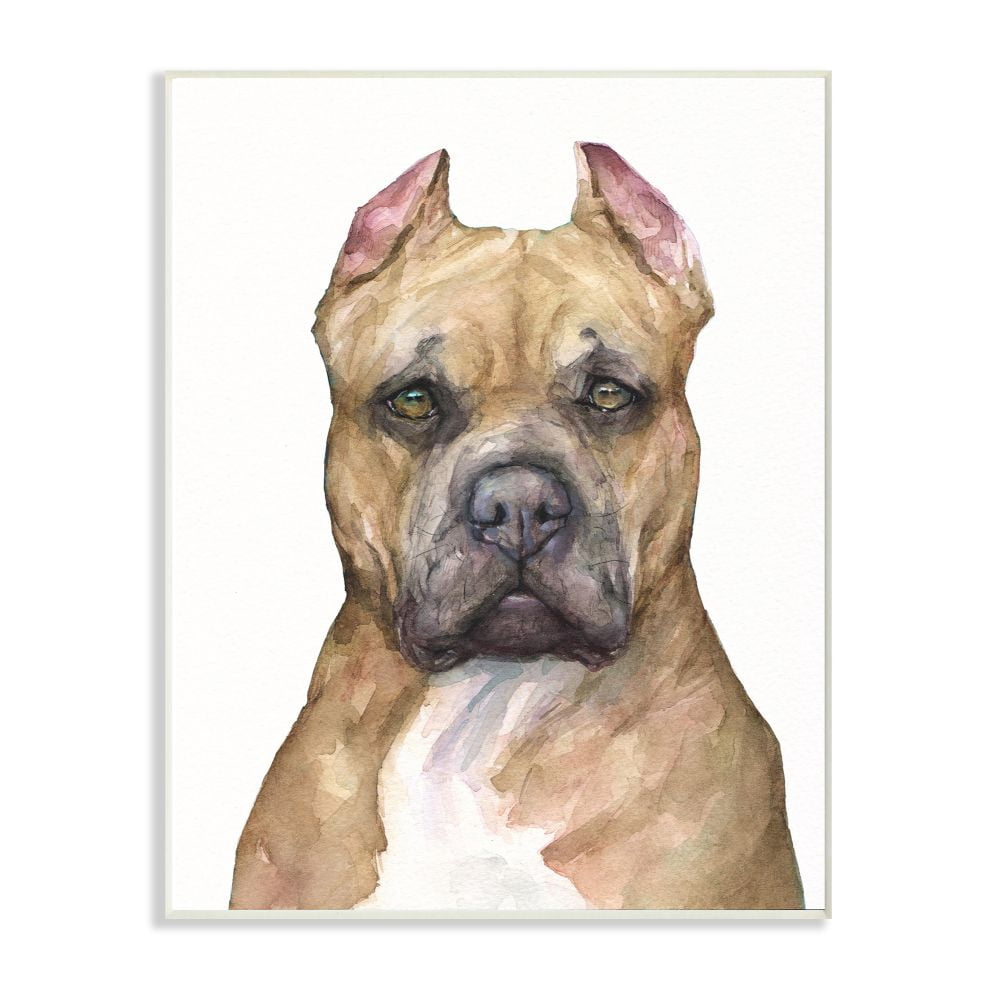 Stupell Industries Pit Bull Dog Pet Animal Watercolor Painting Wall Plaque Art by George Dyachenko