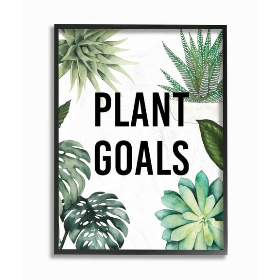 Stupell Industries Plant Goals with Plant Illustrations Botanical & Floral Painting Black Framed Art Print Wall Art, 16 x 20
